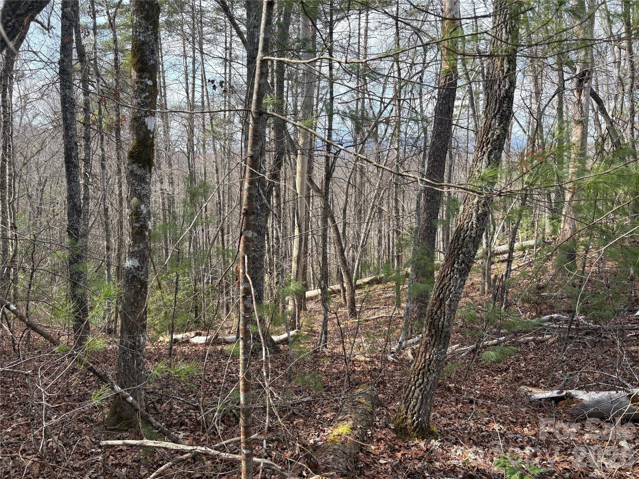 Laurel Creek - Land
