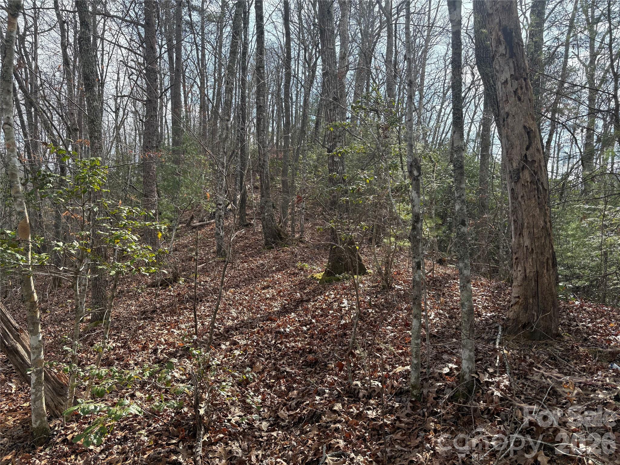 Laurel Creek - Land