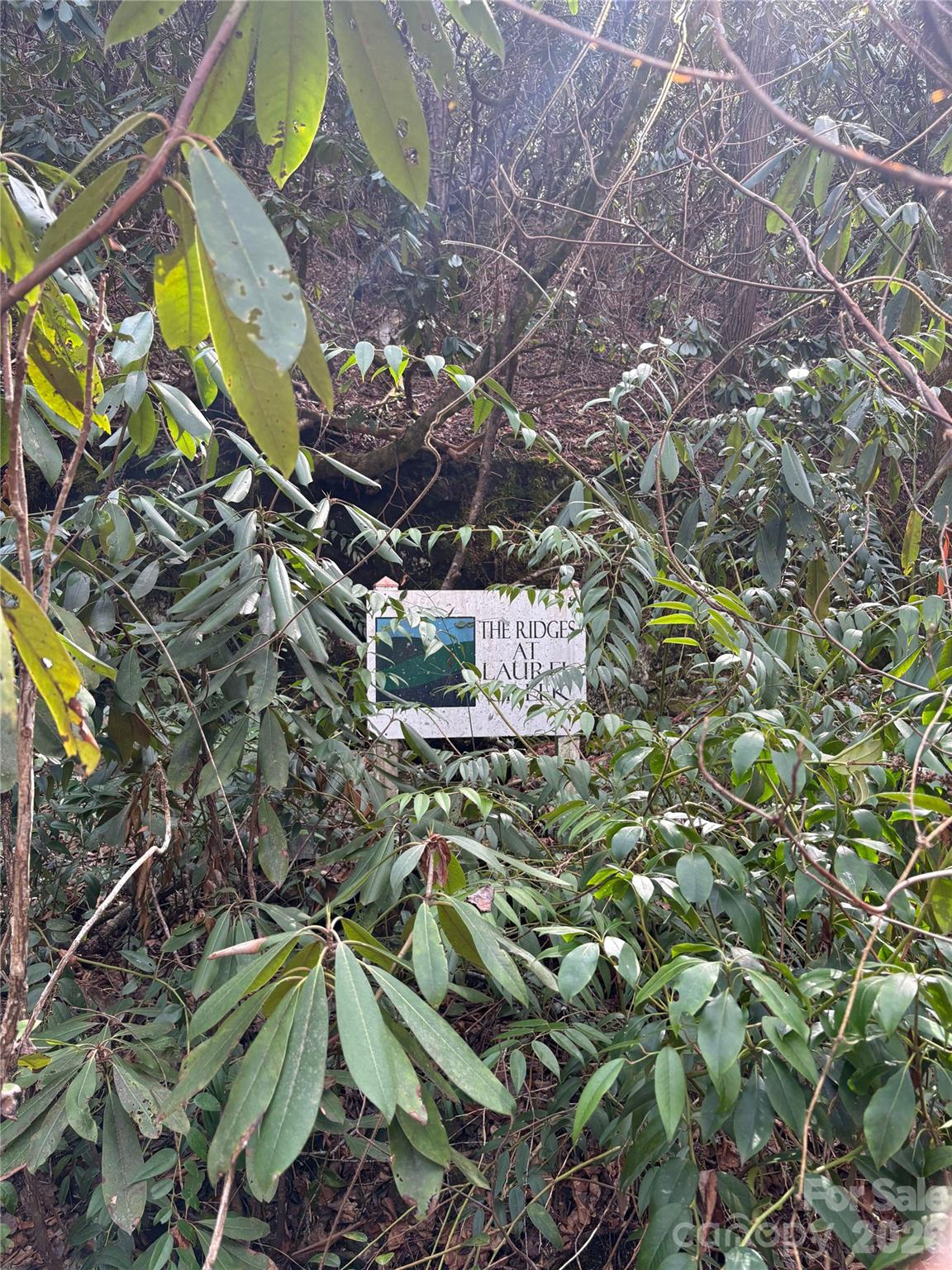 Laurel Creek - Land