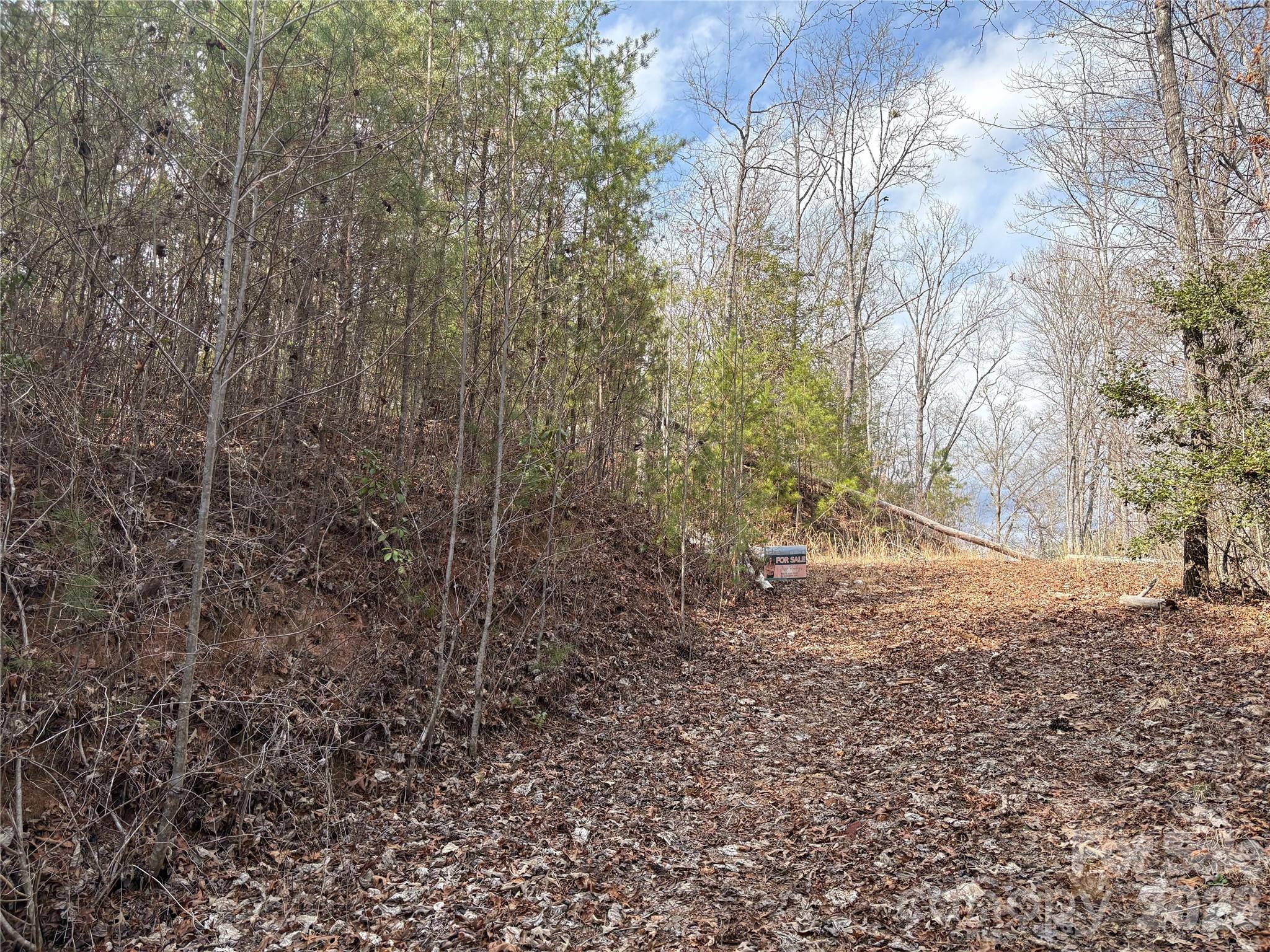 Laurel Creek - Land