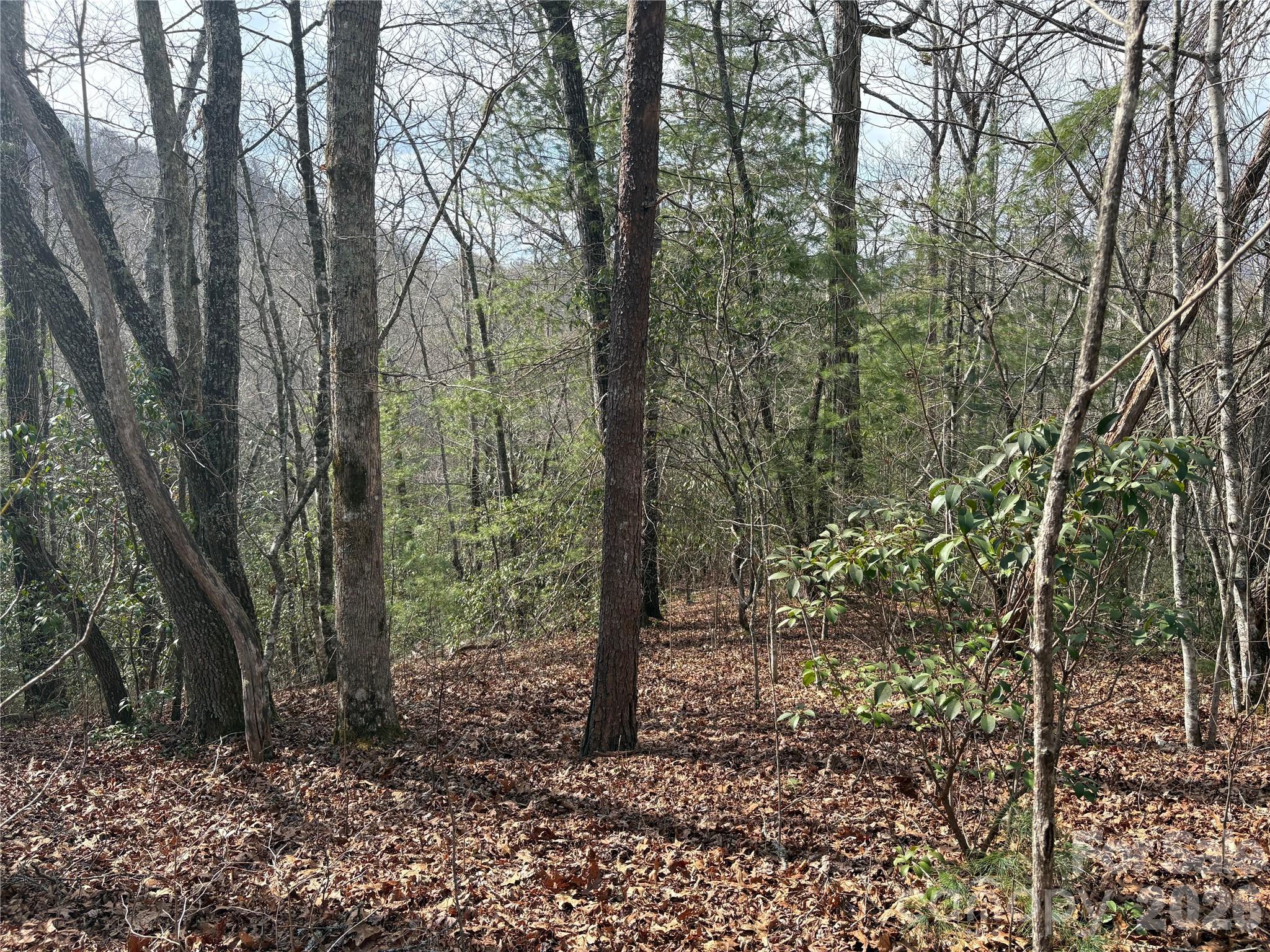 Laurel Creek - Land