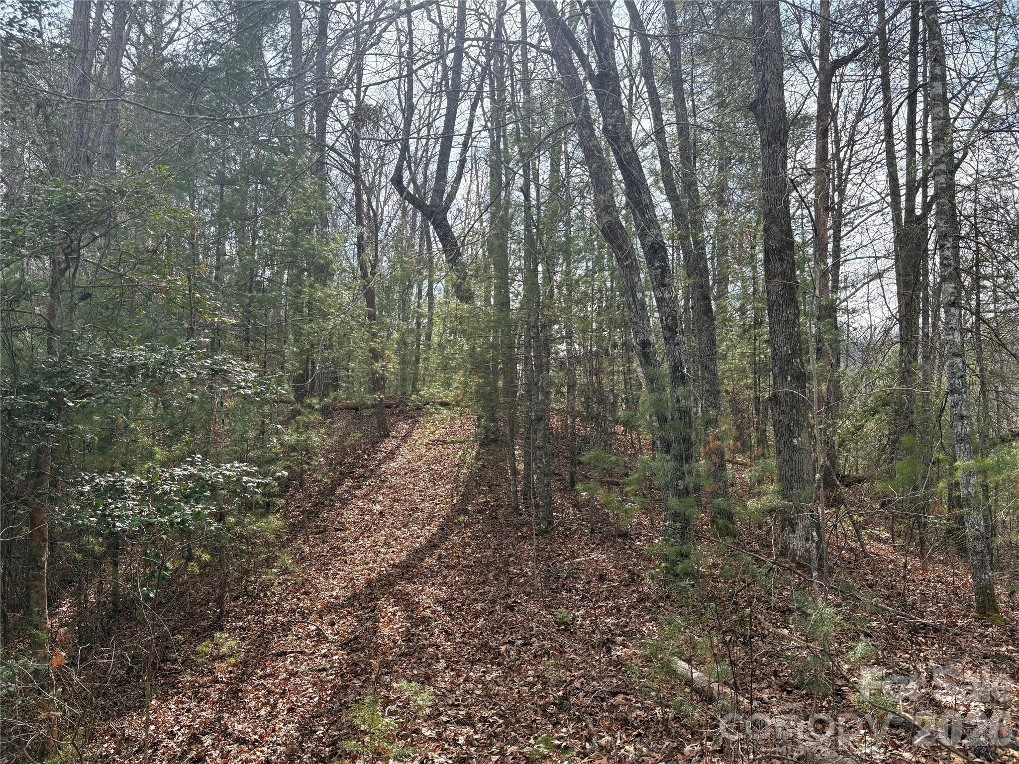 Laurel Creek - Land