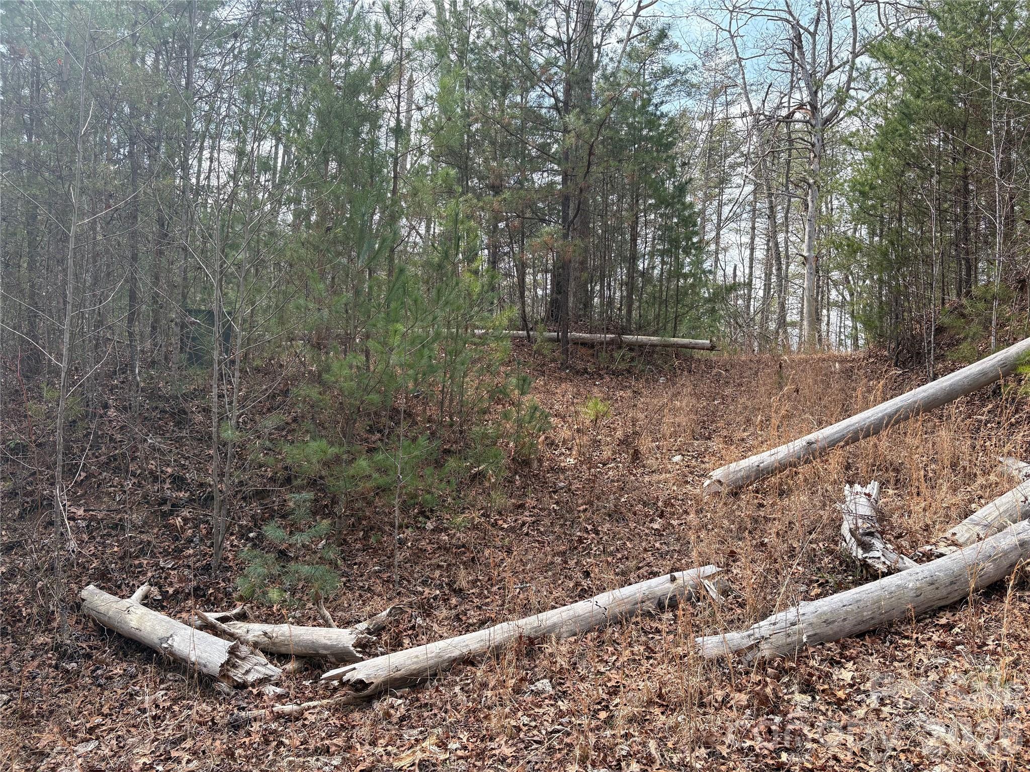 Laurel Creek - Land