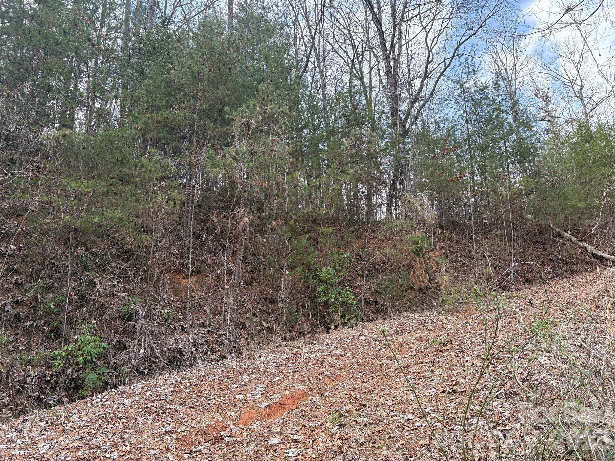 Laurel Creek - Land