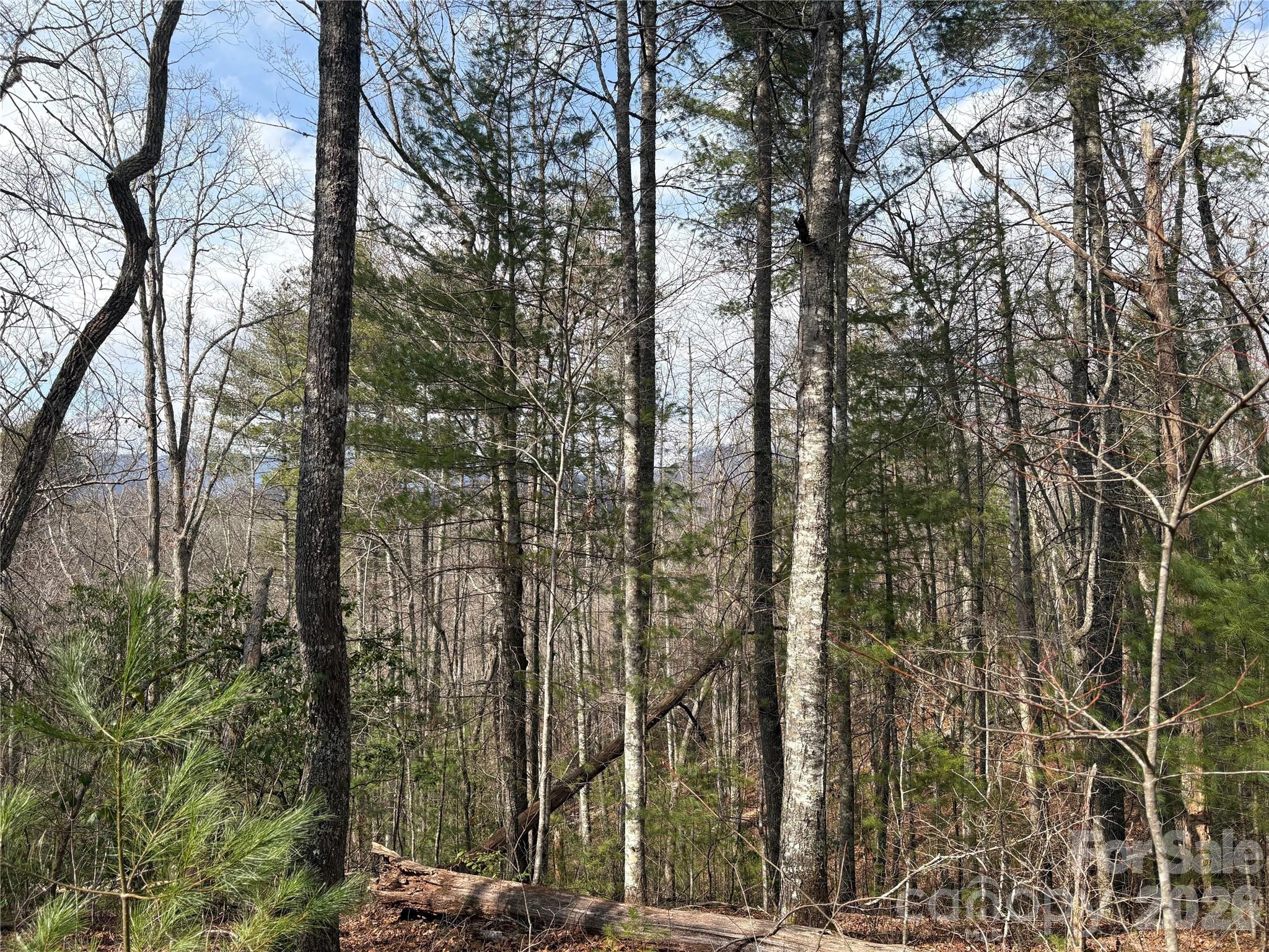 Laurel Creek - Land