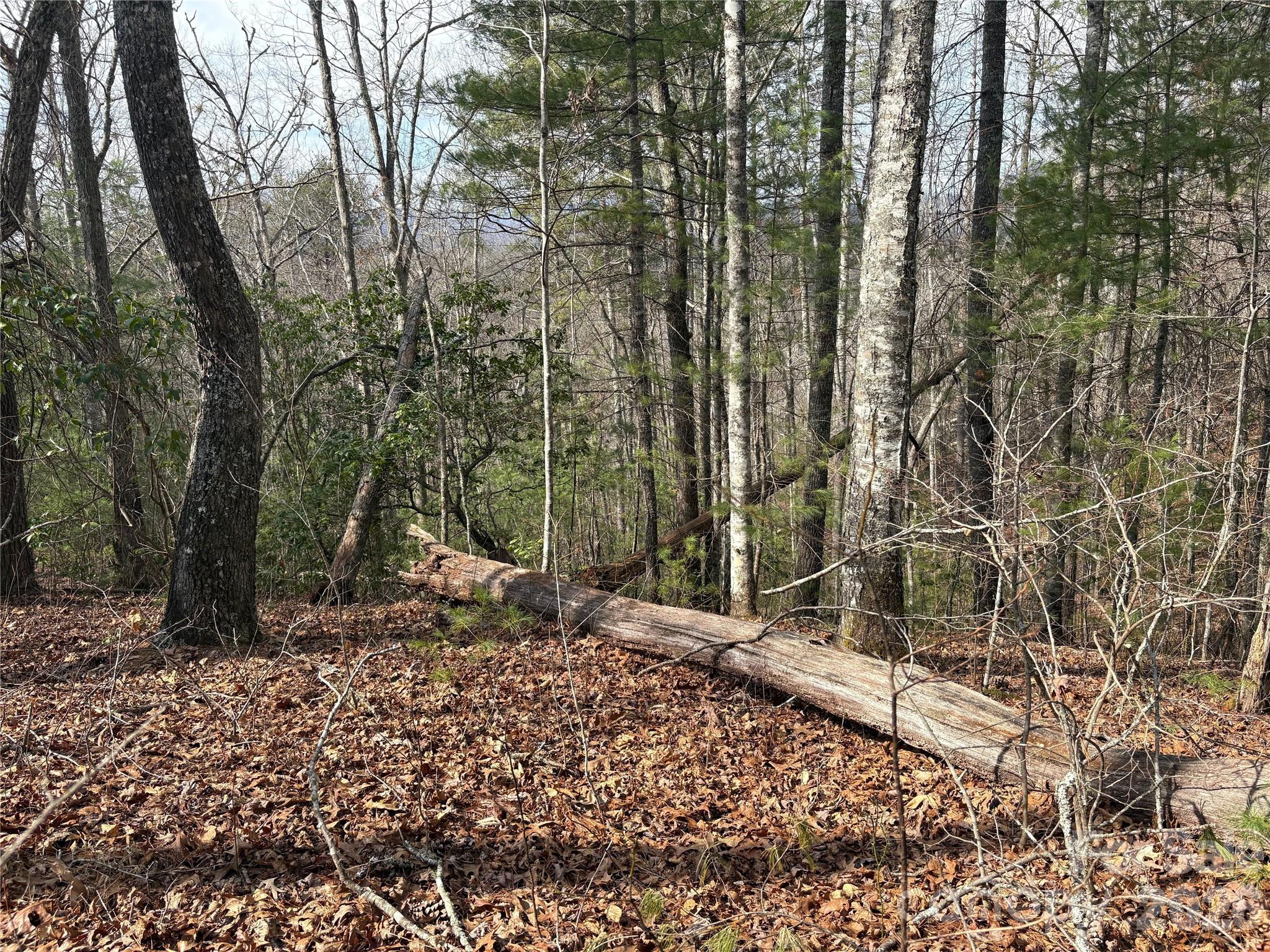 Laurel Creek - Land