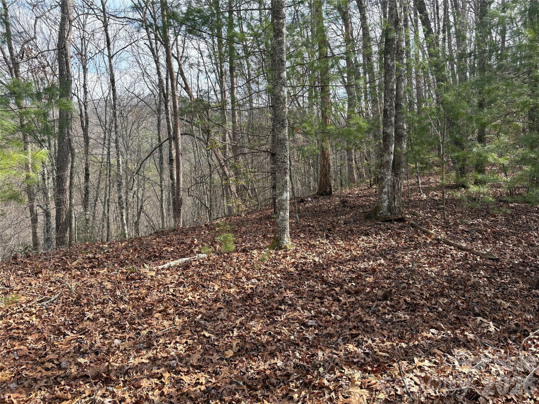 Laurel Creek - Land