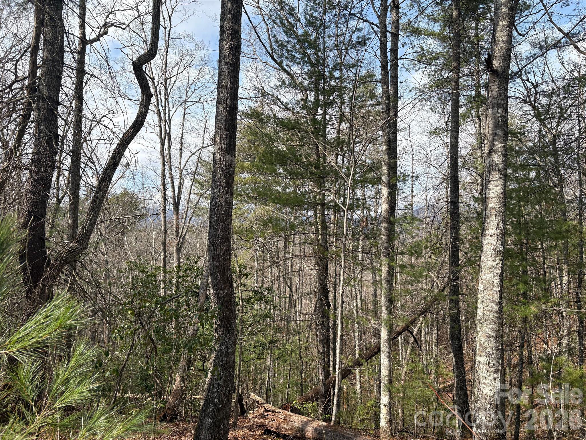 Laurel Creek - Land