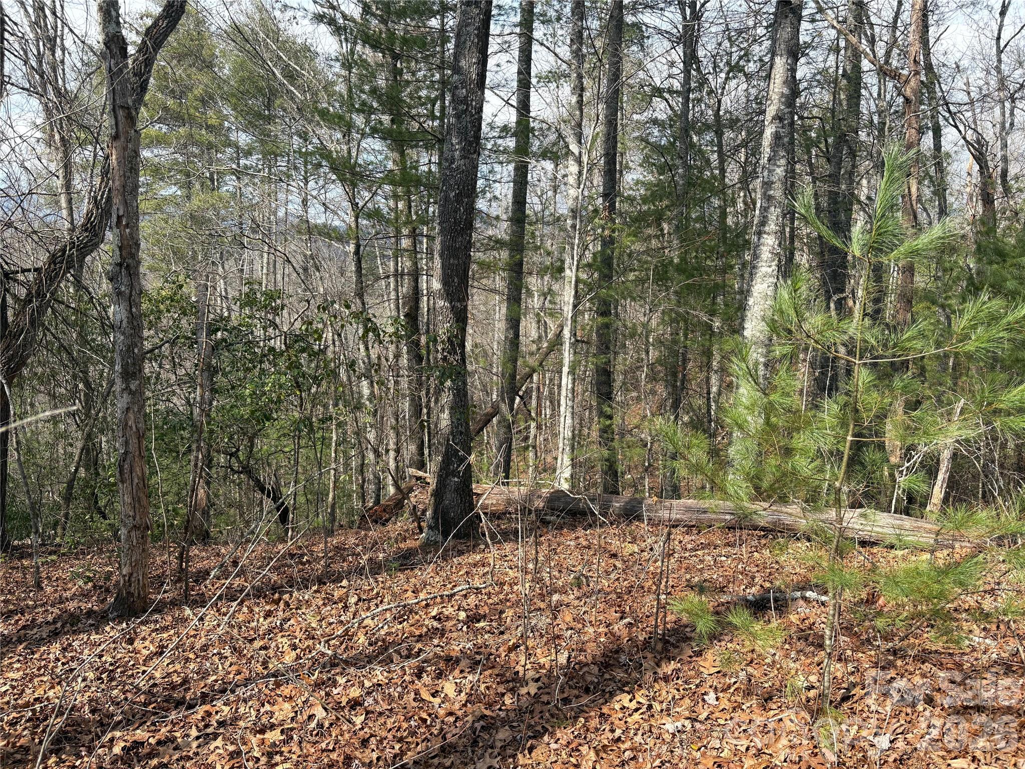 Laurel Creek - Land