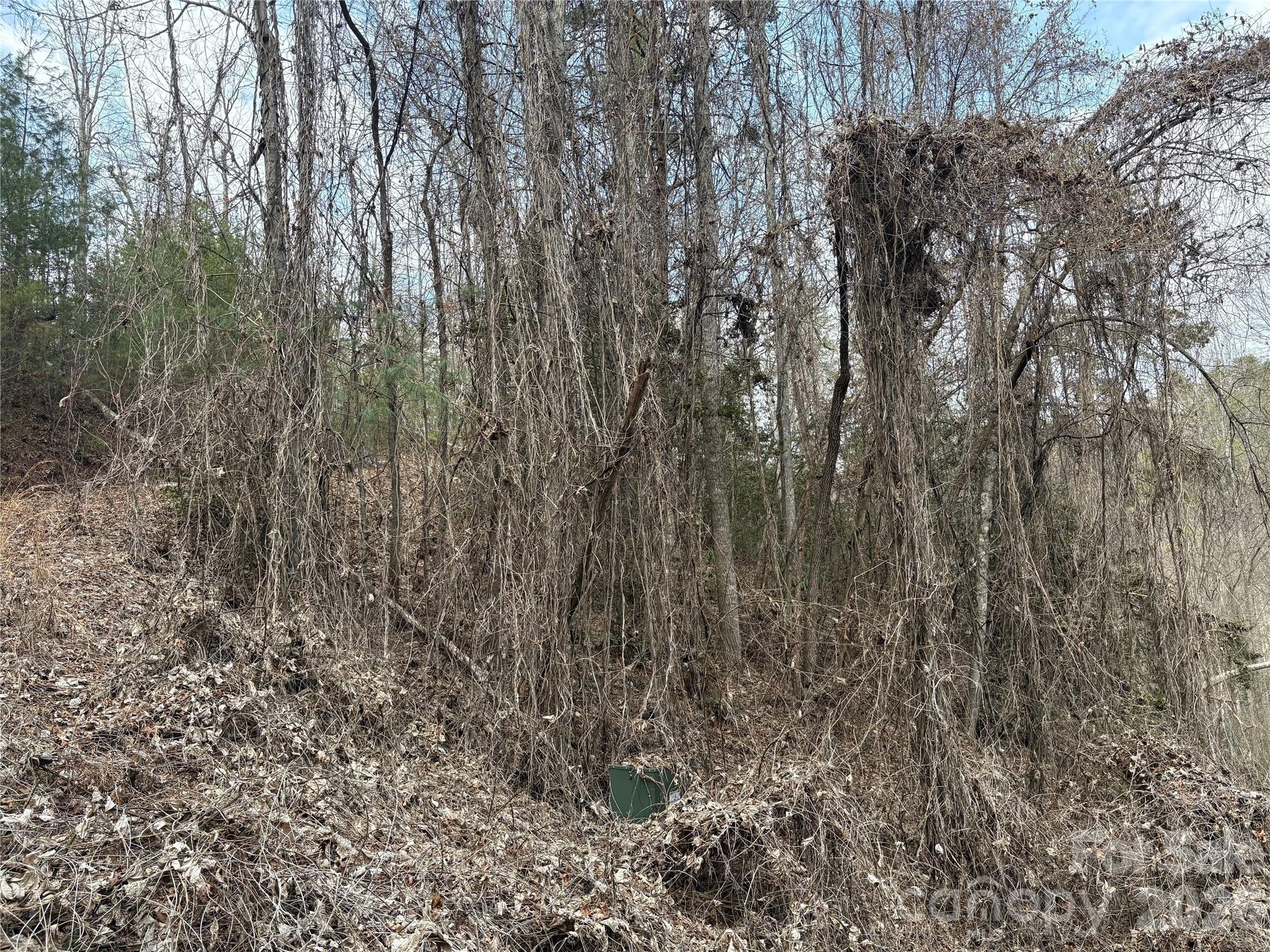 Laurel Creek - Land