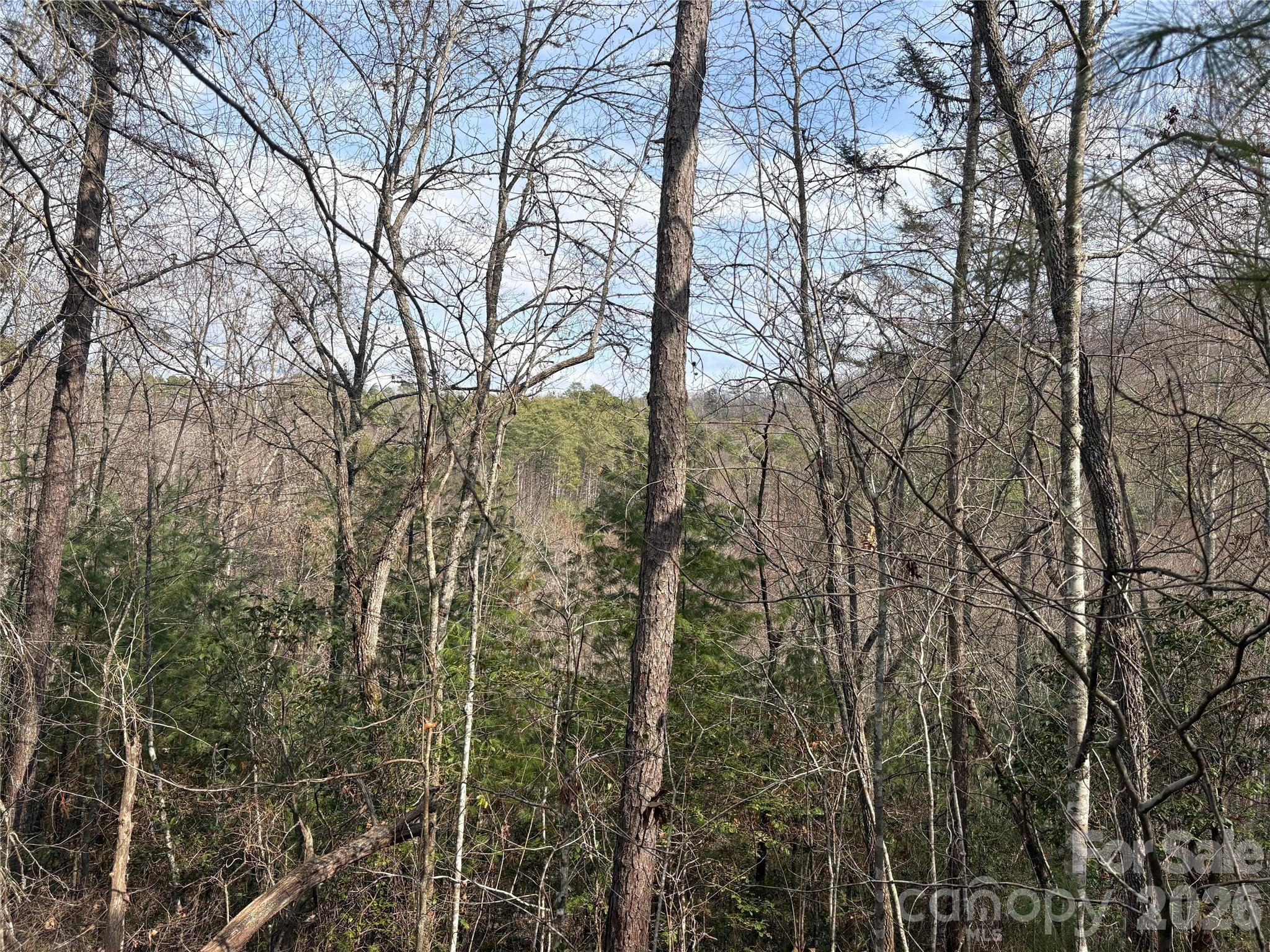 Laurel Creek - Land
