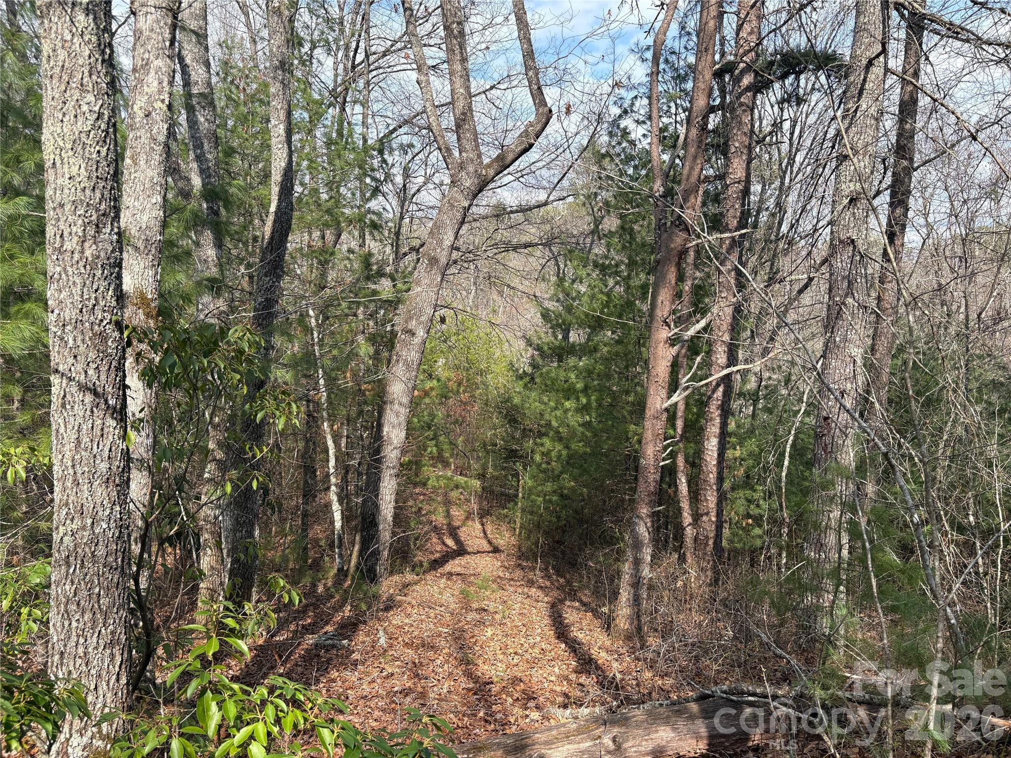 Laurel Creek - Land