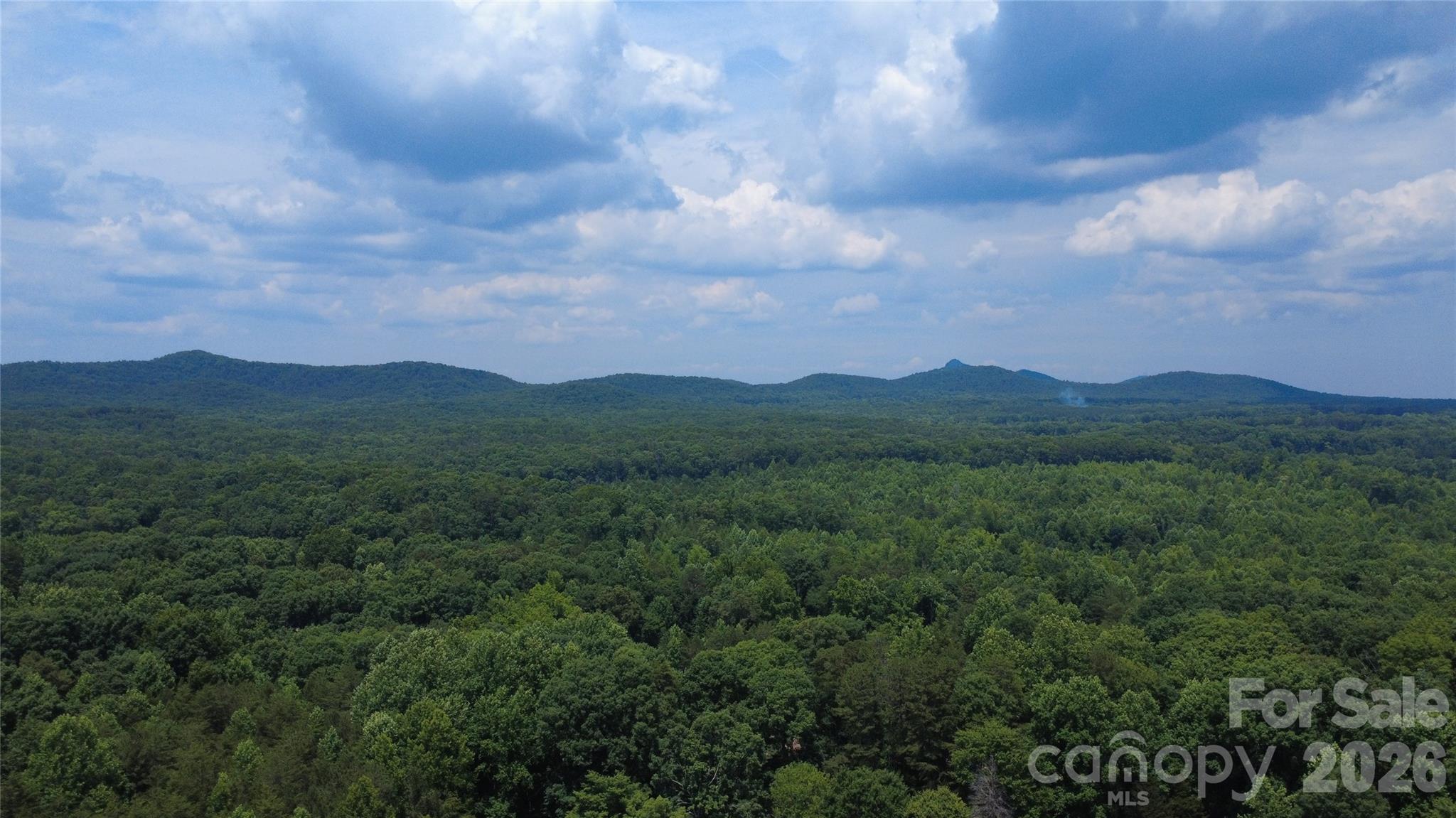 Mountain Brook - Residential