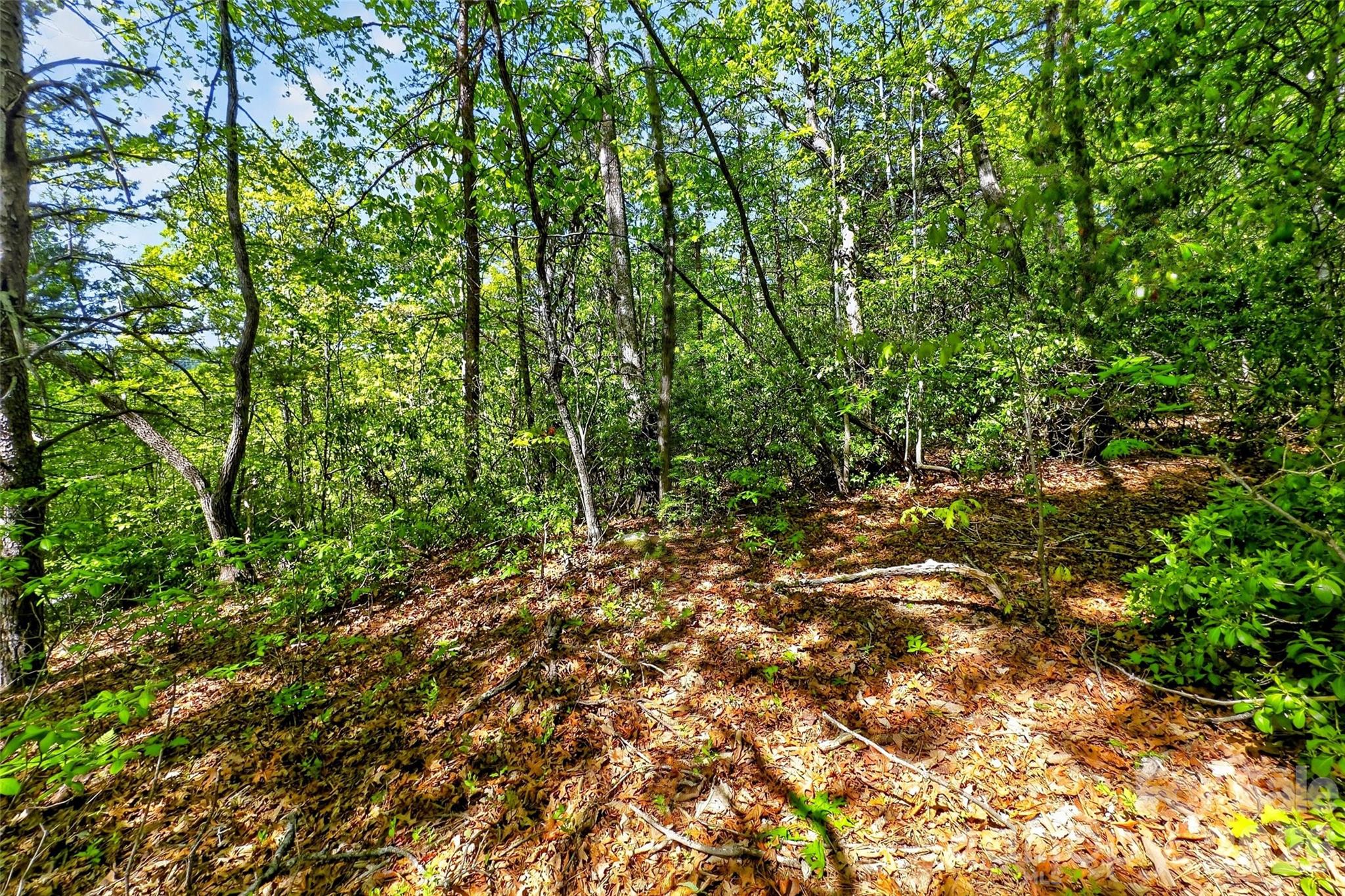 Gateway Mountain - Land