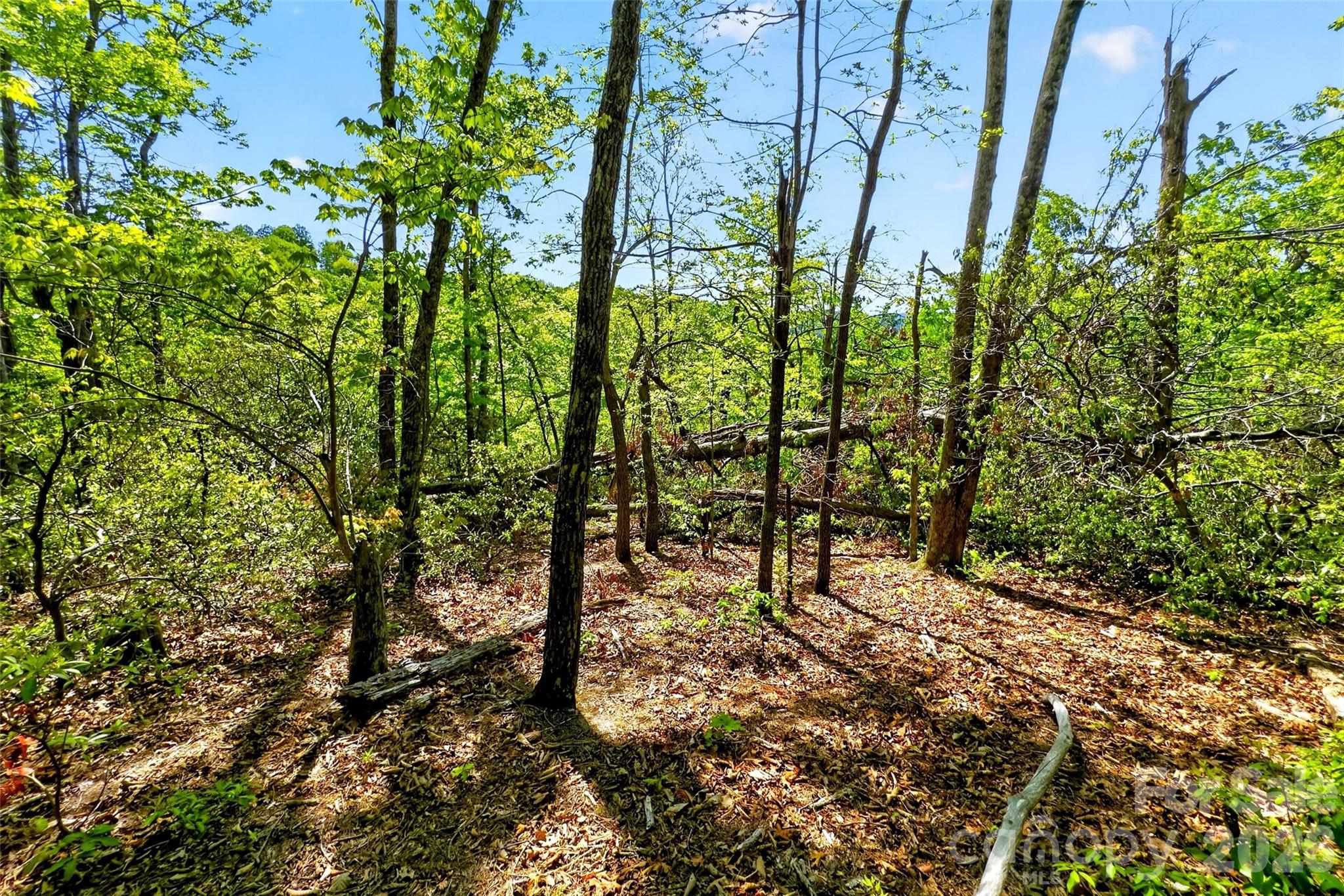 Gateway Mountain - Land