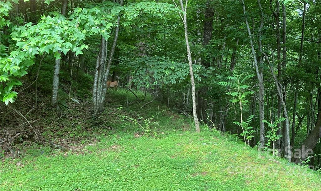 Avery Park - Land