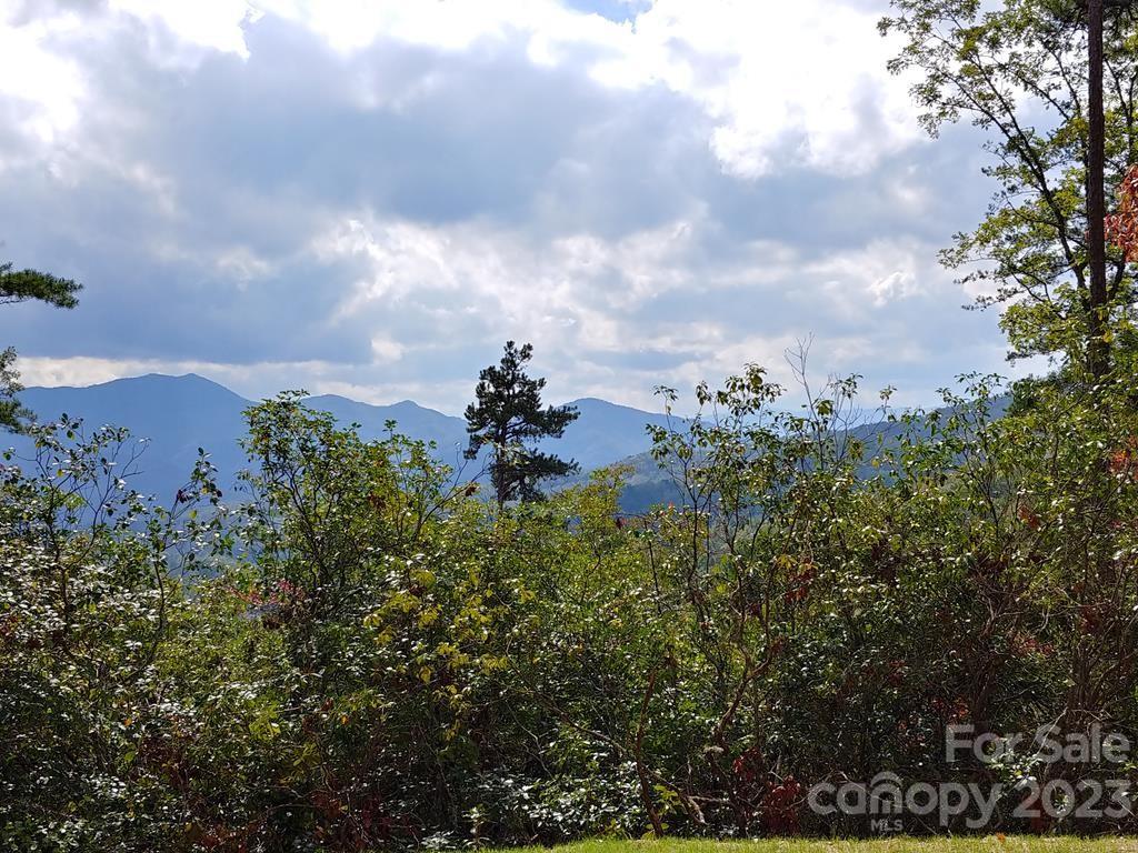 Easy access to an easy building site. Gentle view. Community has an equine facility and pasture available for up to 28 horses, and borders the Great Smoky Mountains National Park for rear round, riding, biking and hiking. Fly fishing in the Creeks. Small and friendly community for the lover of the outdoors. Listing agent is a part owner of the property.