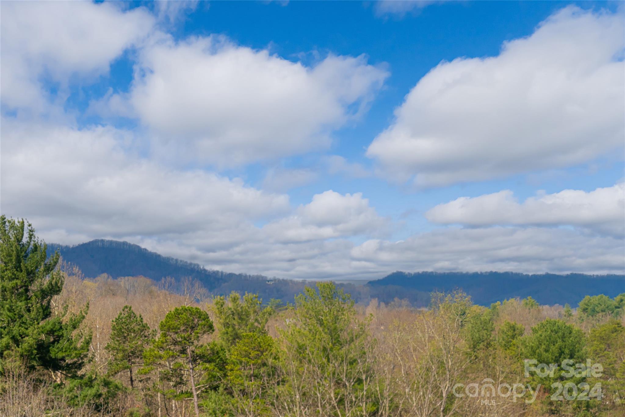 Walnut Grove Plantation - Residential