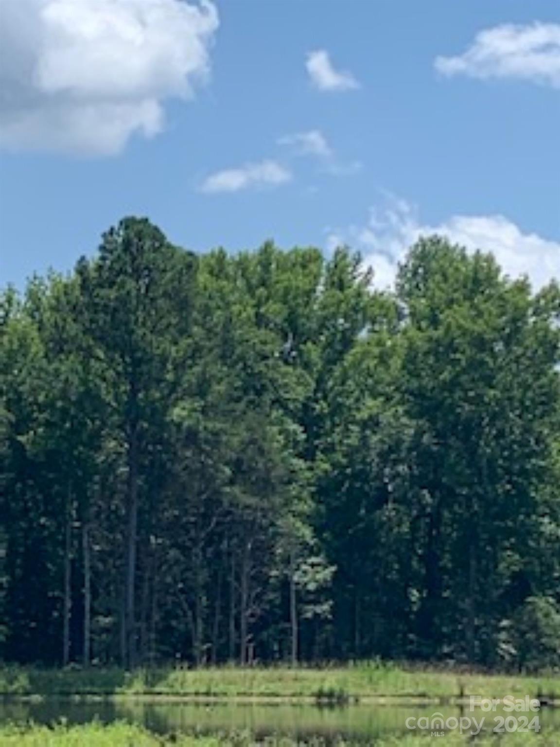 Lake Edward Estates - Land