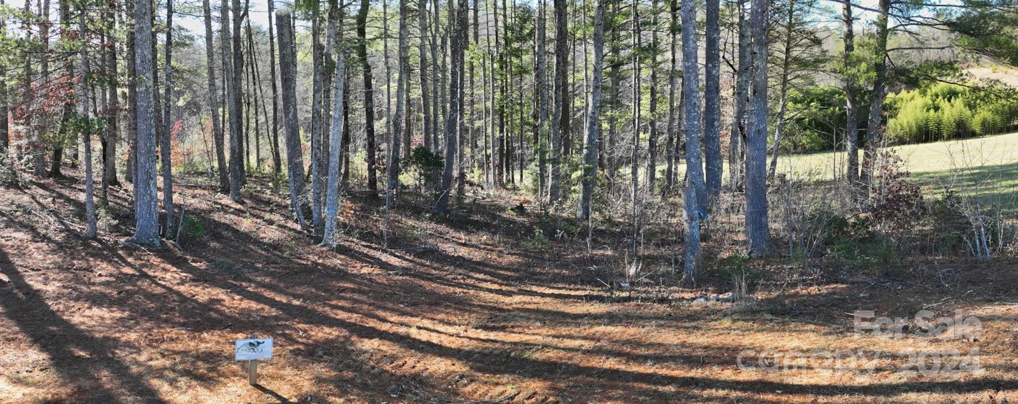 The Coves Mountain River Club - Land