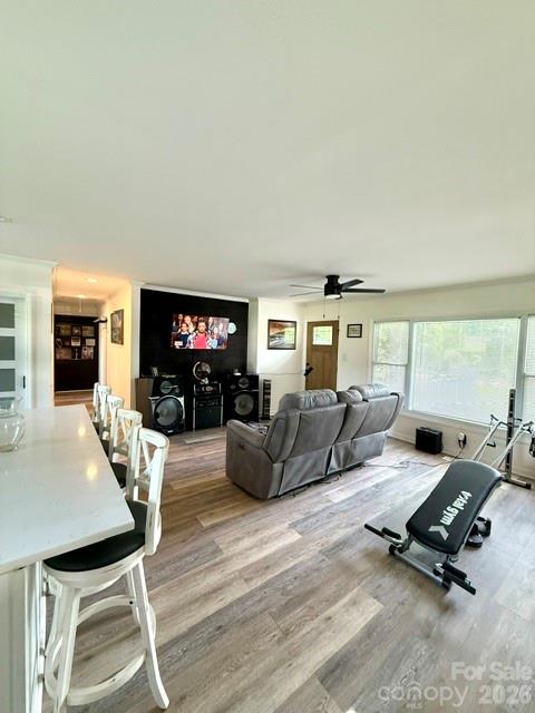 Springdale - Residential