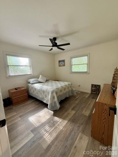 Springdale - Residential