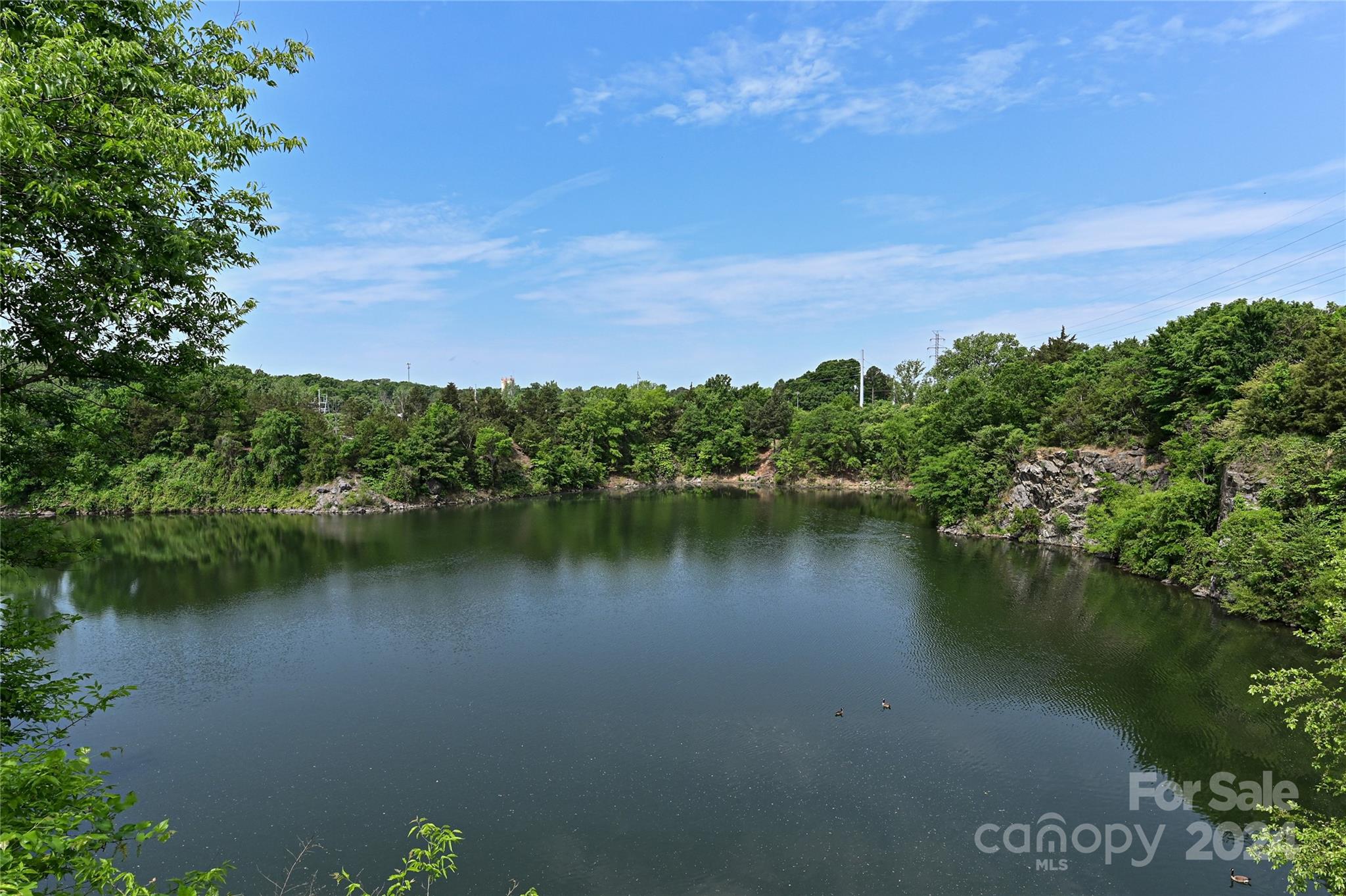Cole Creek - Residential