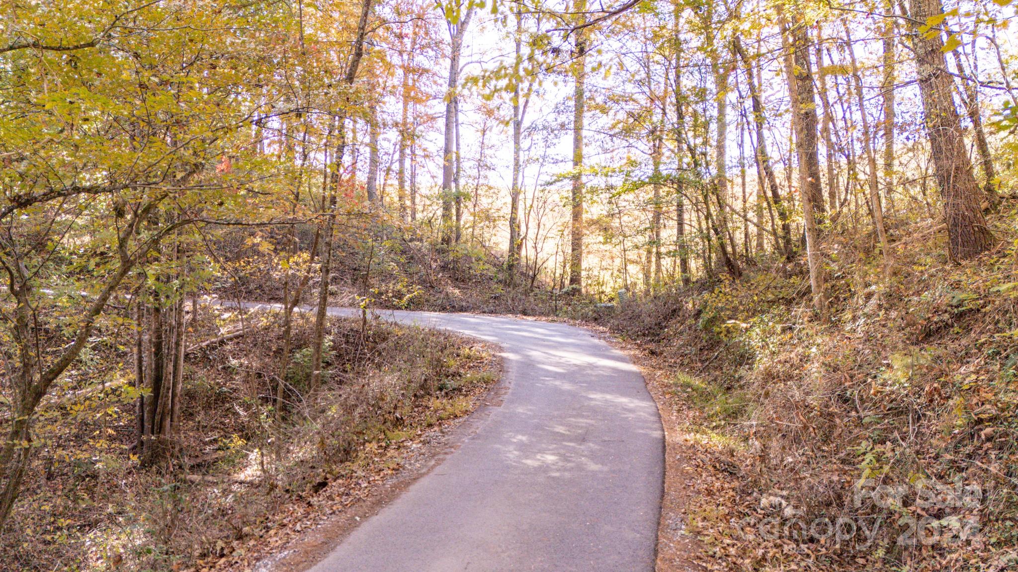 Private, Peaceful 3-Acre Wooded Lot in a Lovely Weaverville Neighborhood. Discover the perfect balance of privacy and convenience with this beautiful 3-acre wooded lot nestled in a quiet, friendly community. Enjoy the serene setting surrounded by nature, just minutes from downtown Weaverville, shopping, restaurants, breweries, and with easy access to I-26 for a quick commute to Asheville.  The property features light restrictions and reasonable road maintenance dues, offering flexibility and peace of mind. A winding, paved driveway leads you through the trees to an ideal site for your dream home.  Lovingly owned by the same family for over 30 years, this is a rare opportunity to create your own private retreat in one of Weaverville’s most desirable areas.  Don’t let this one slip away—come experience the beauty and tranquility for yourself!