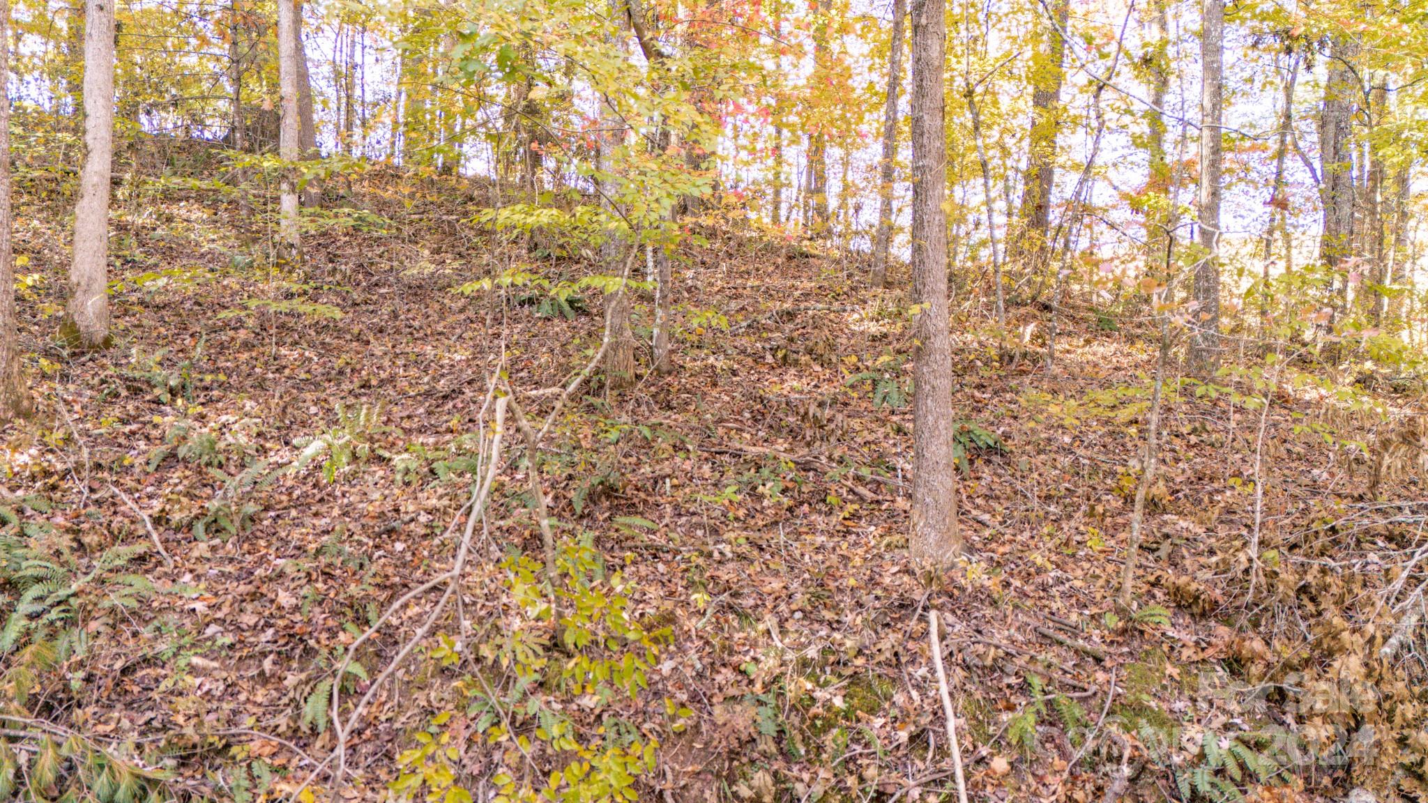 North Pinnacle - Land