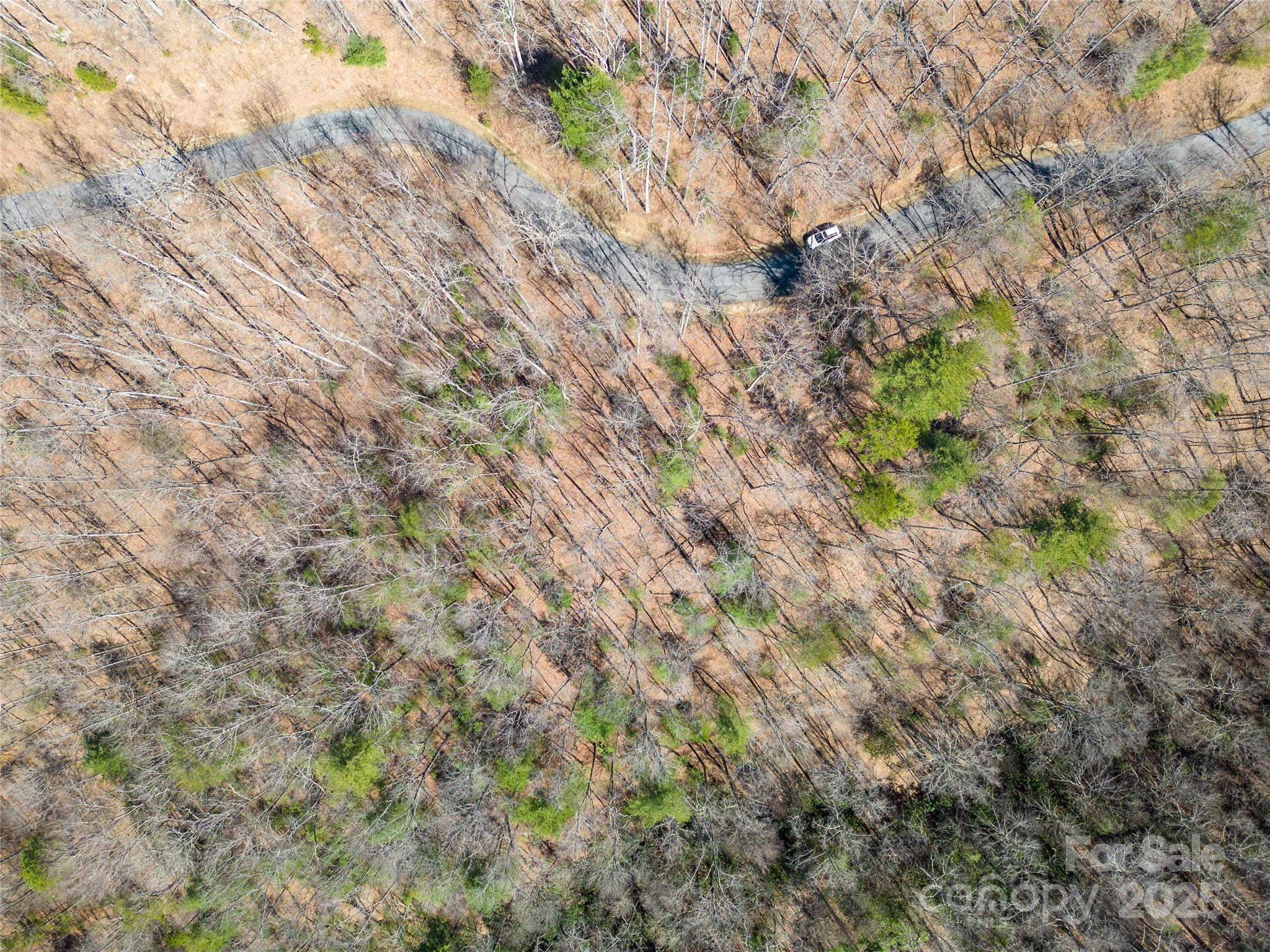 Oleta Falls - Land
