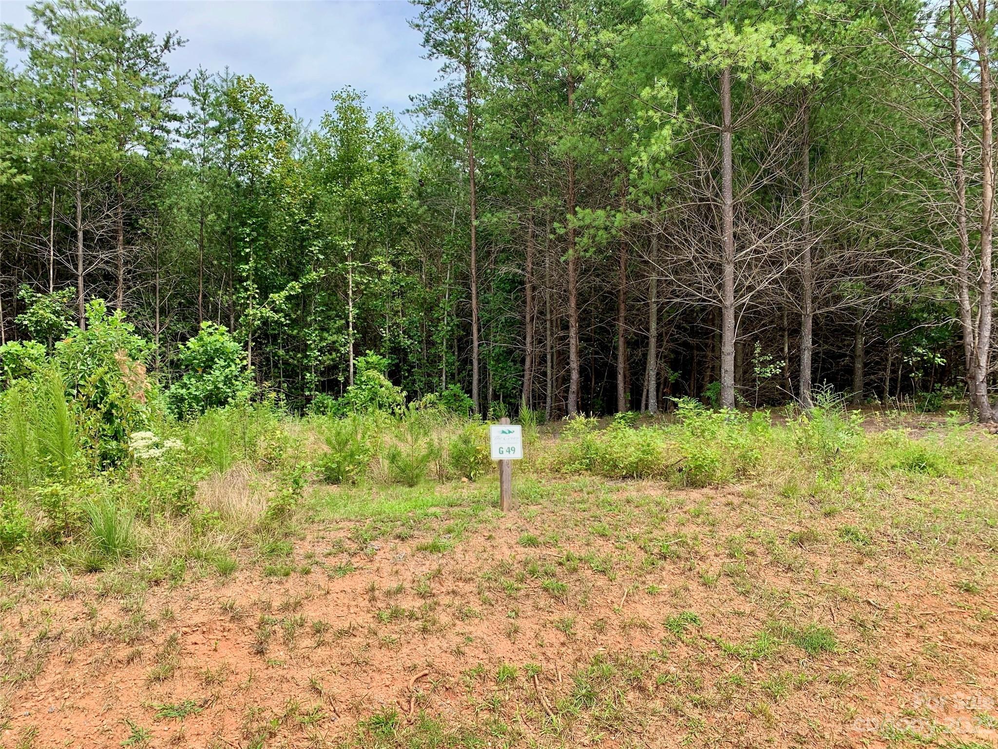 The Coves Mountain River Club - Land