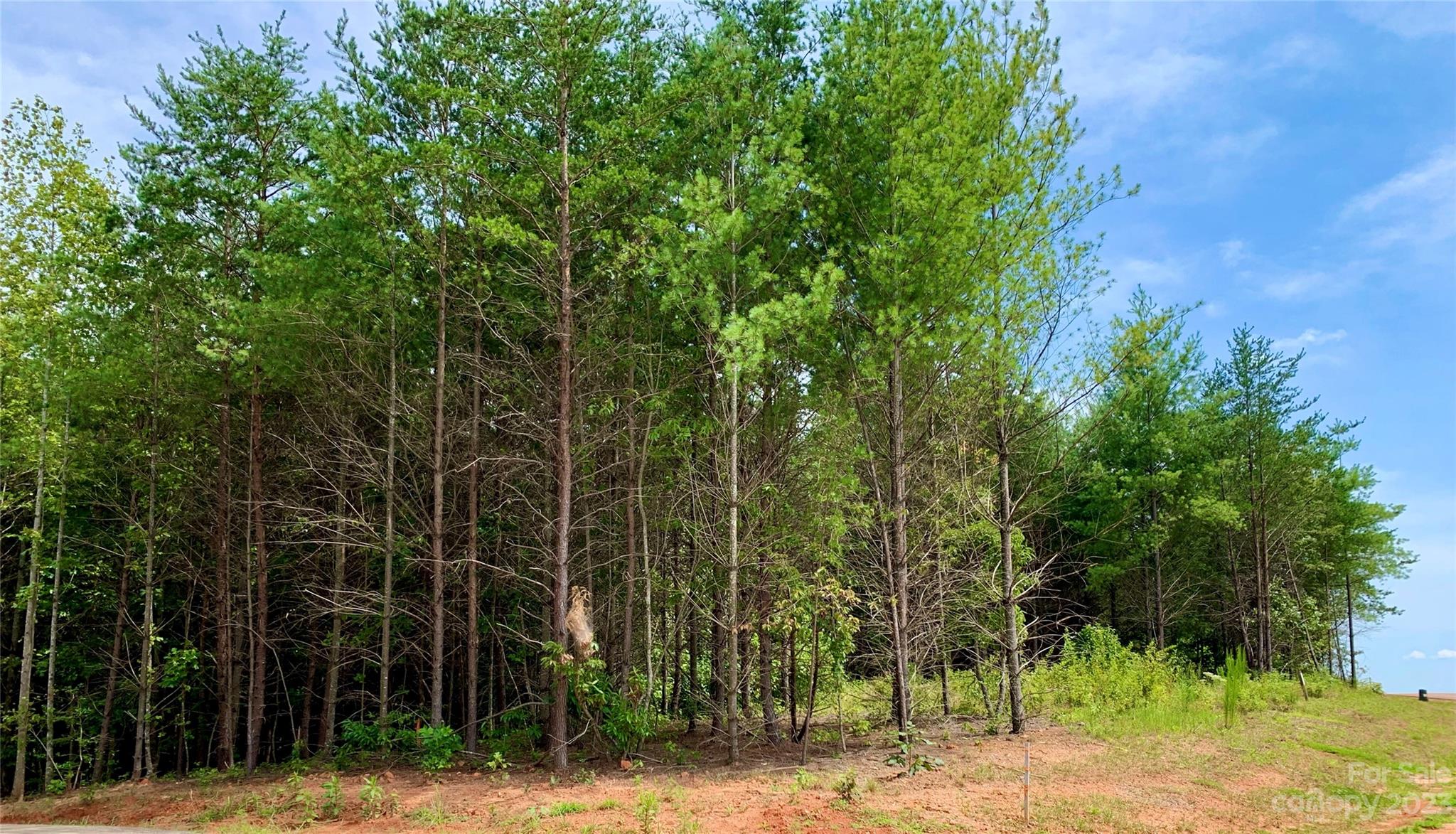 The Coves Mountain River Club - Land