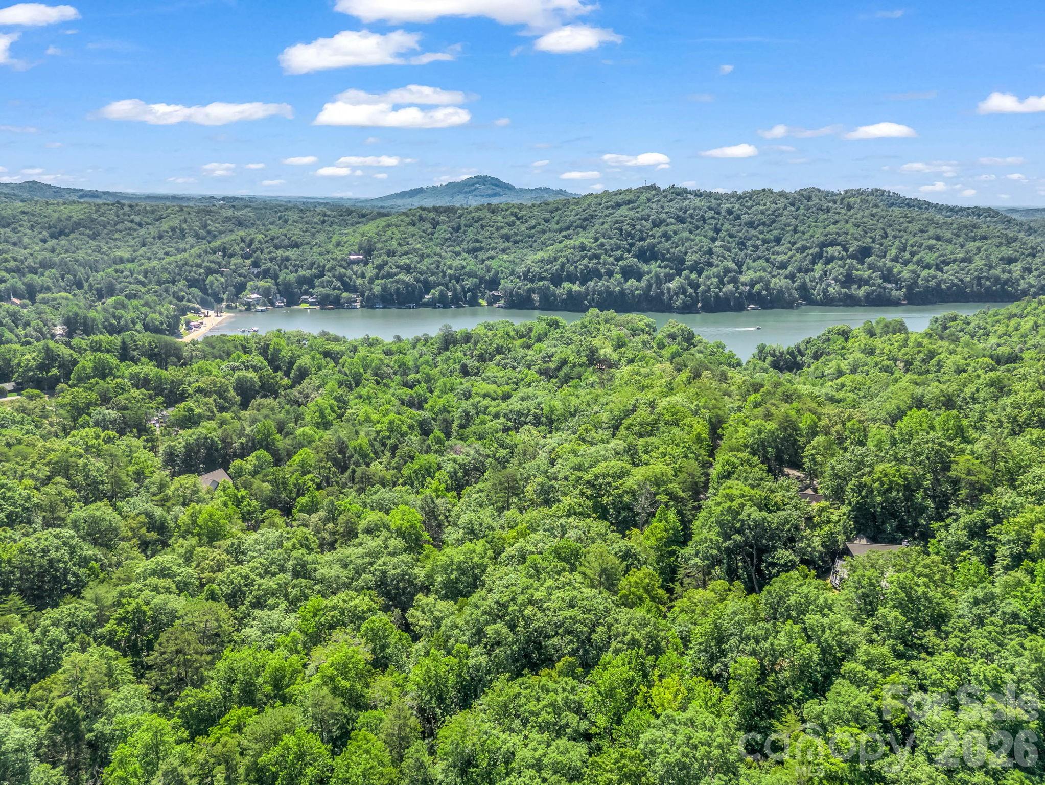 Rumbling Bald on Lake Lure - Residential