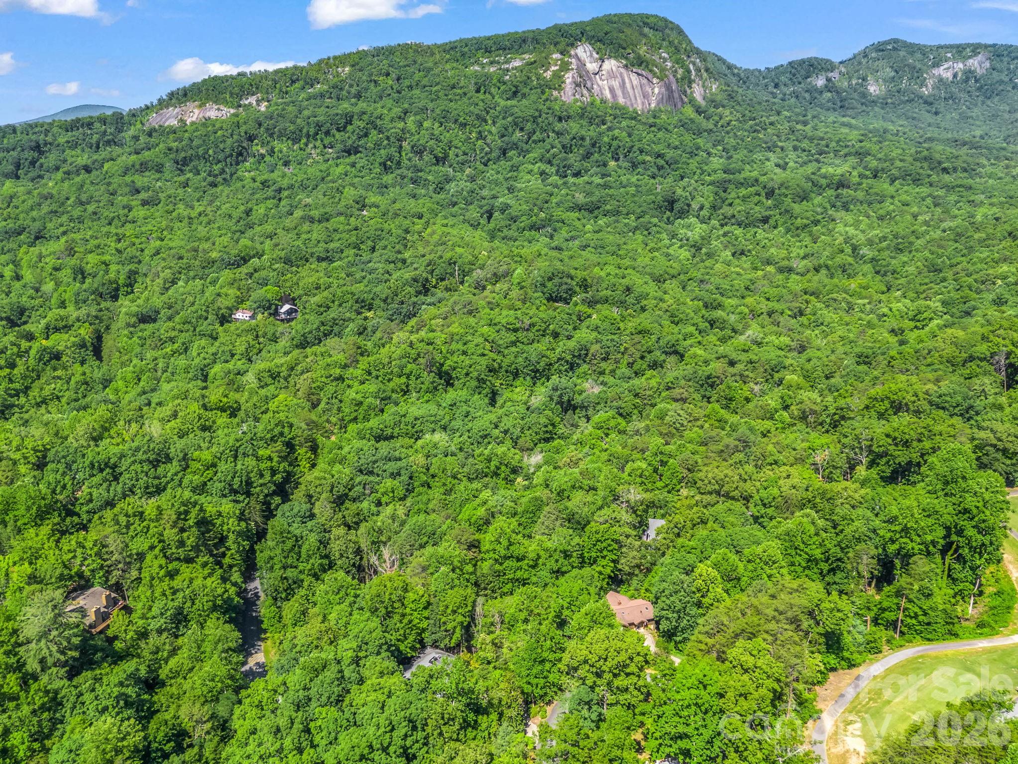 Rumbling Bald on Lake Lure - Residential