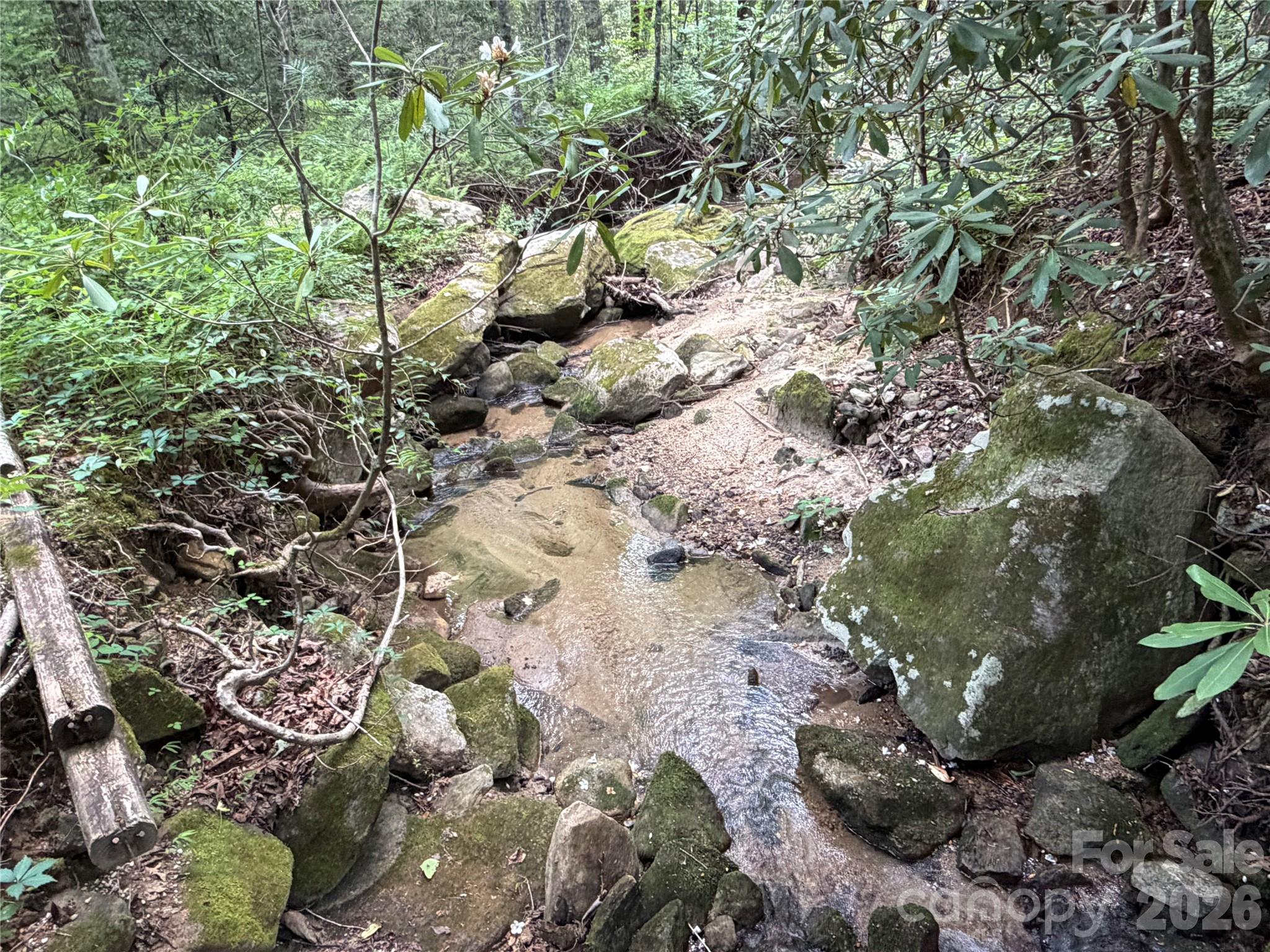 Rumbling Bald on Lake Lure - Residential