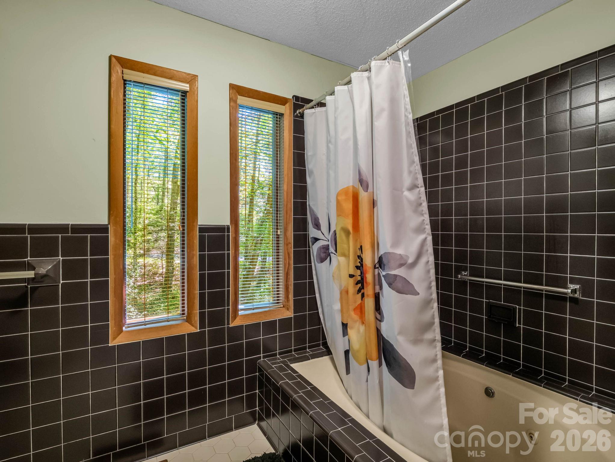 Rumbling Bald on Lake Lure - Residential
