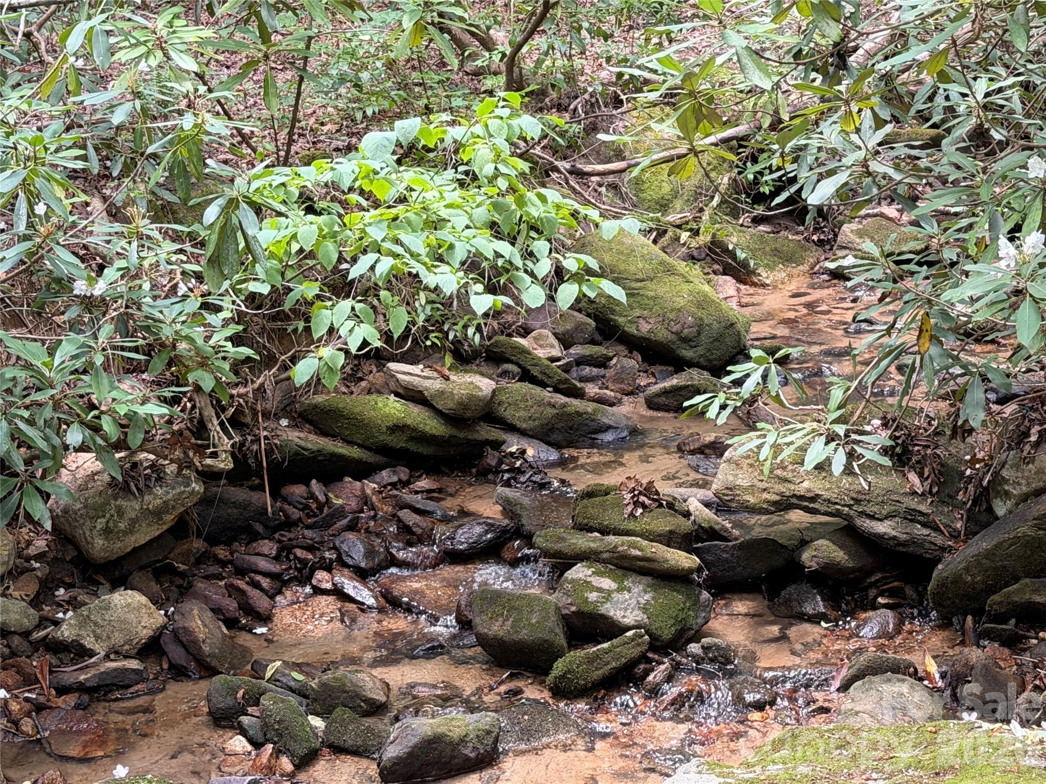 Rumbling Bald on Lake Lure - Residential