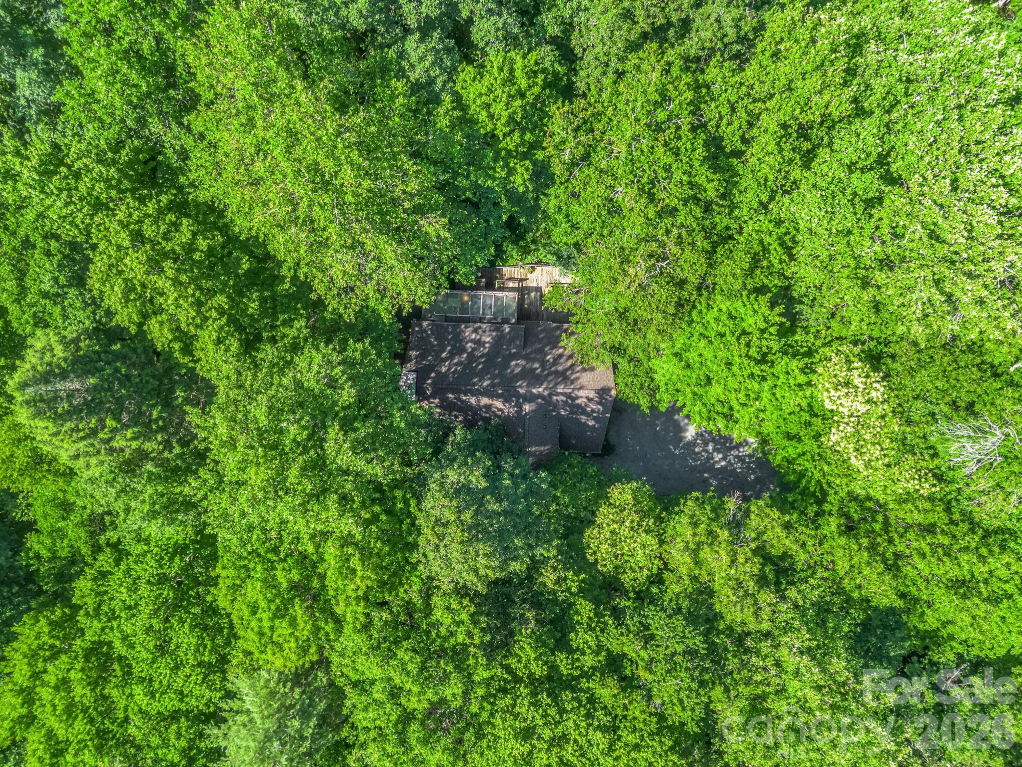 Rumbling Bald on Lake Lure - Residential