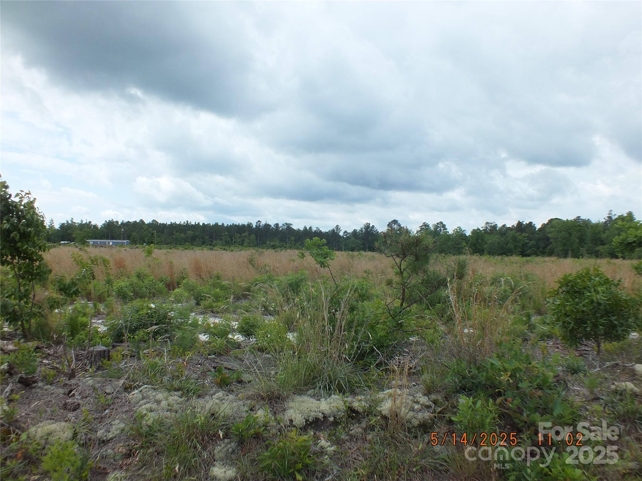 Ready to build your dream home or barndominium this is the place, 5.56 acres of cleared land, 116 foot of road frontage. Nice country setting, there is also two other 5.56 lots available for the same price that can be purchased. The seller has had the land looked at by a septic guy and said there should be no problem in it perking, he will be glad to provide his name for anyone interested. Water source is Cassette Water Company. There is also Windstream lines for intranet service per the seller. Seller will consider owner financing. The land can only be subdivided one time and has to be to a relative. This lot is located next to the tree line