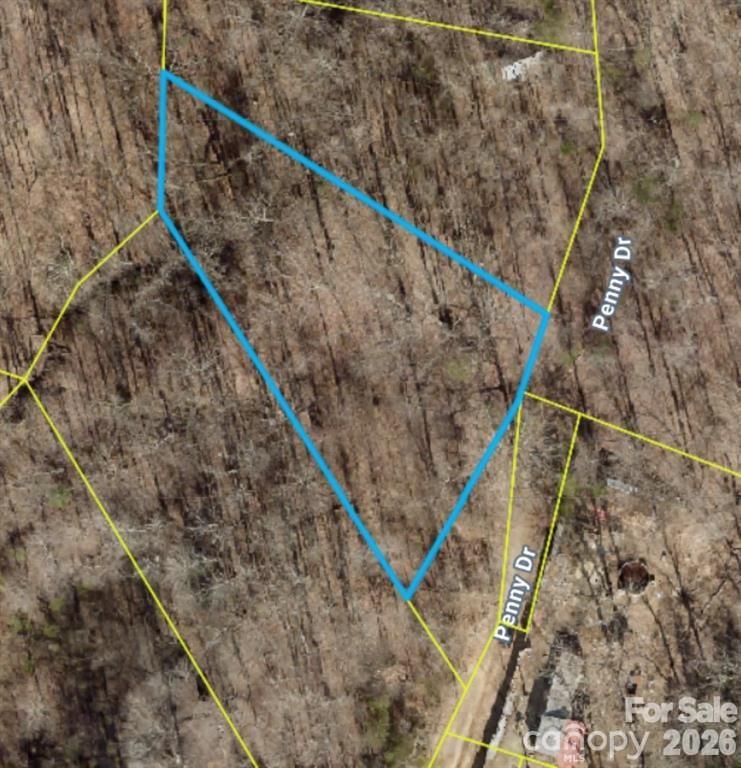 Fantastic opportunity to own nearly one acre in desirable Love Valley. Perfect location for privacy and get aways. Bring all offers. Listing does include two lots (4802815719.000 & 4802815655.000 for a combined for a total of approximately 0.705 acres)