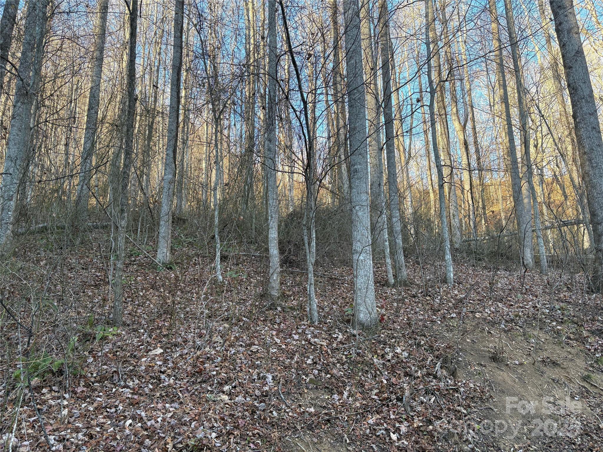 Mountain Watch - Land