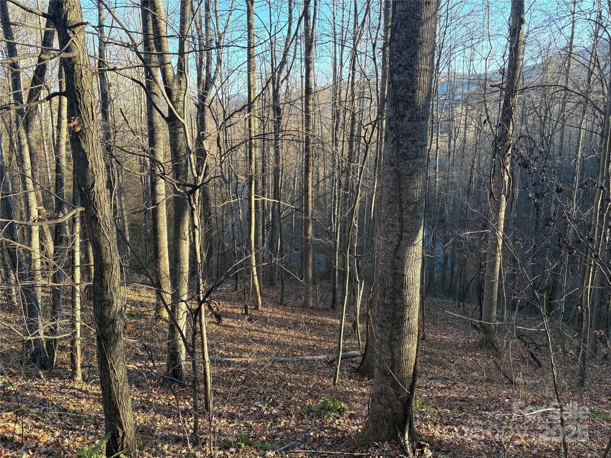 Mountain Watch - Land