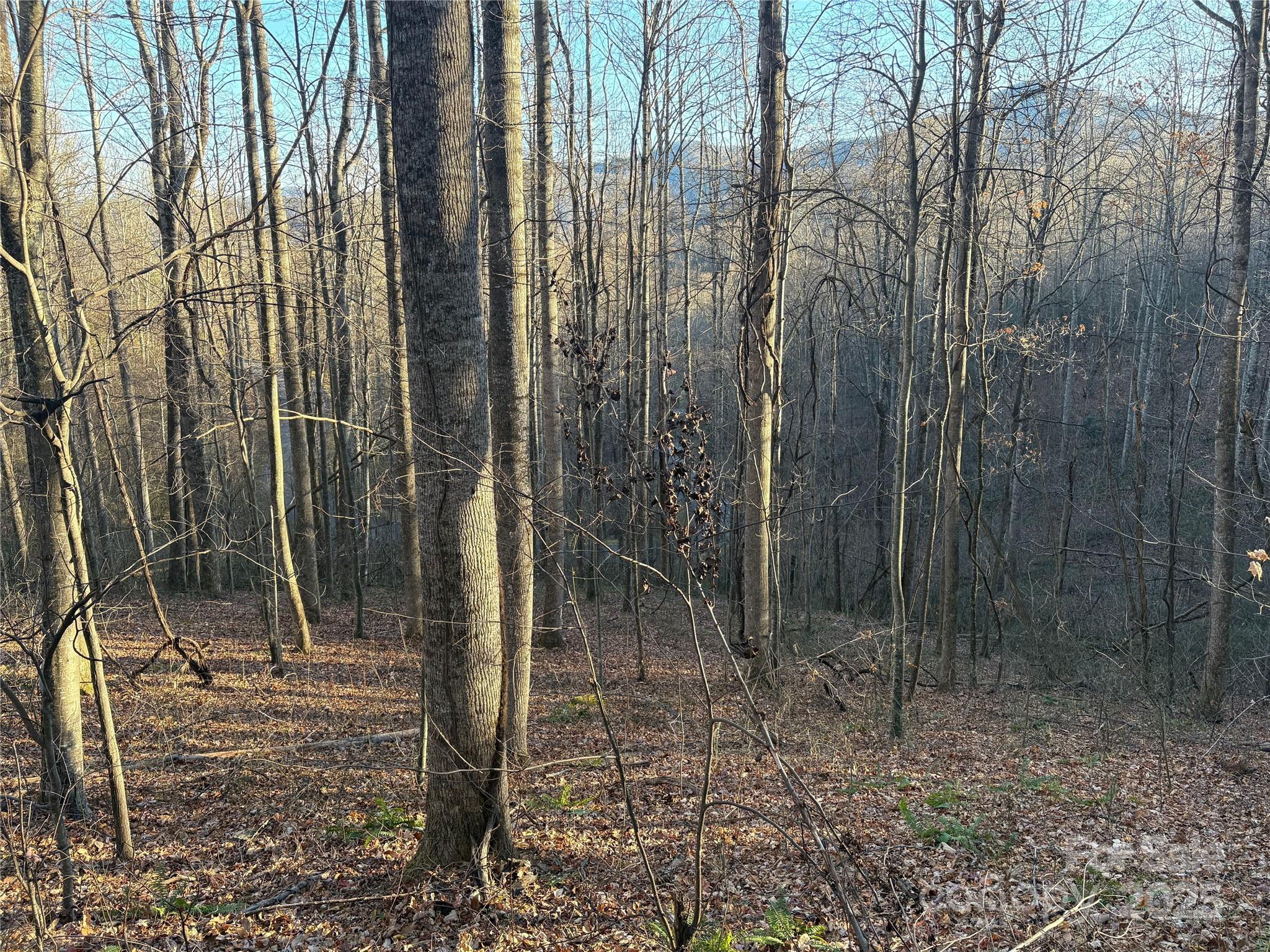 Mountain Watch - Land