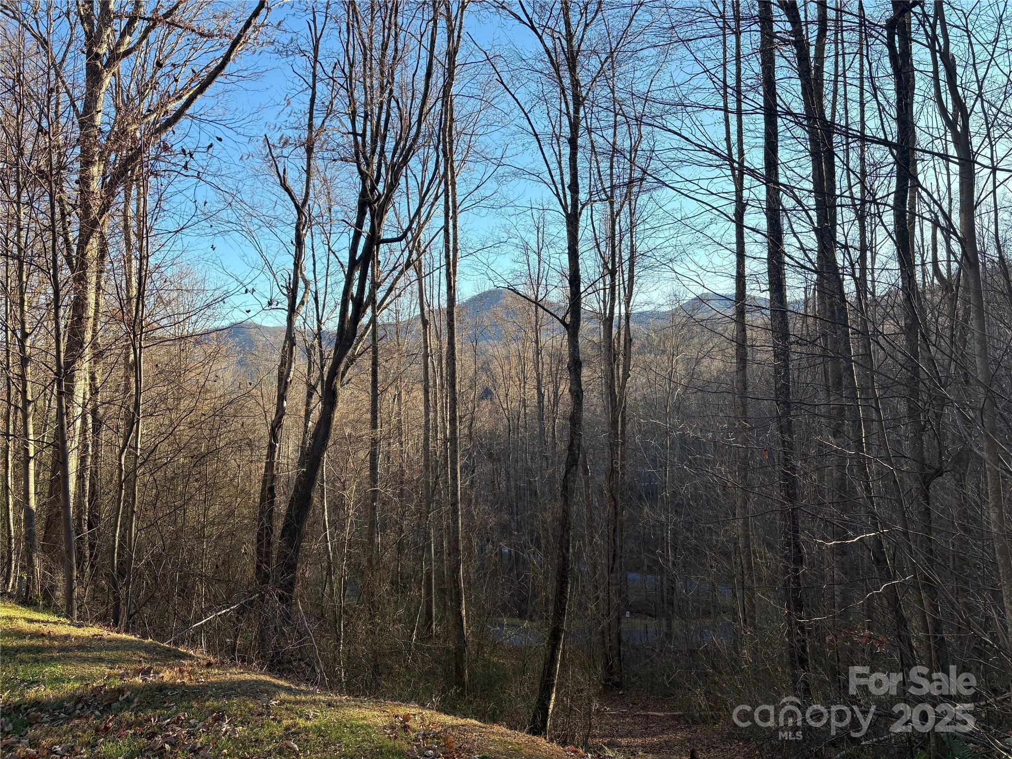 Mountain Watch - Land