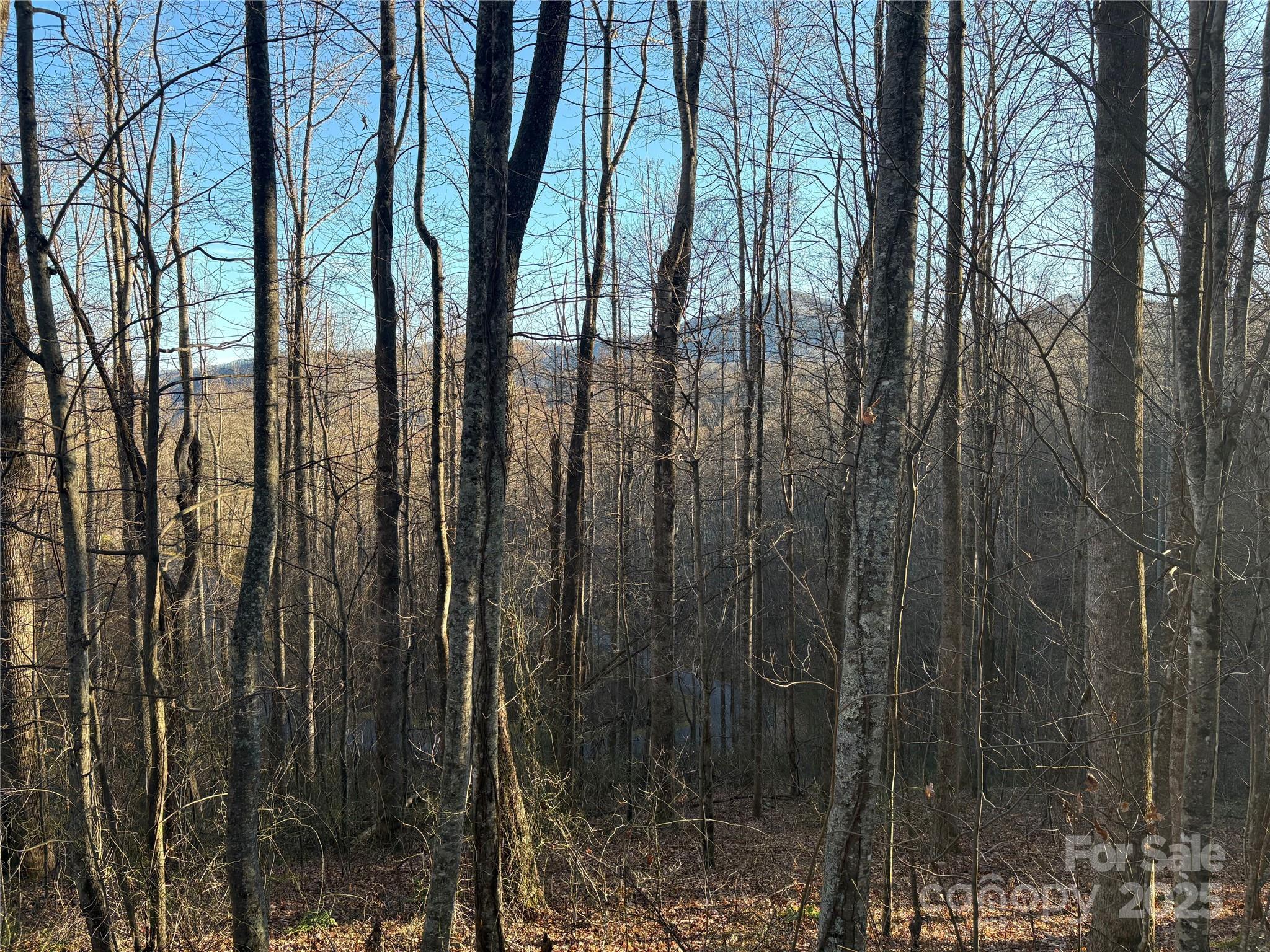 Mountain Watch - Land