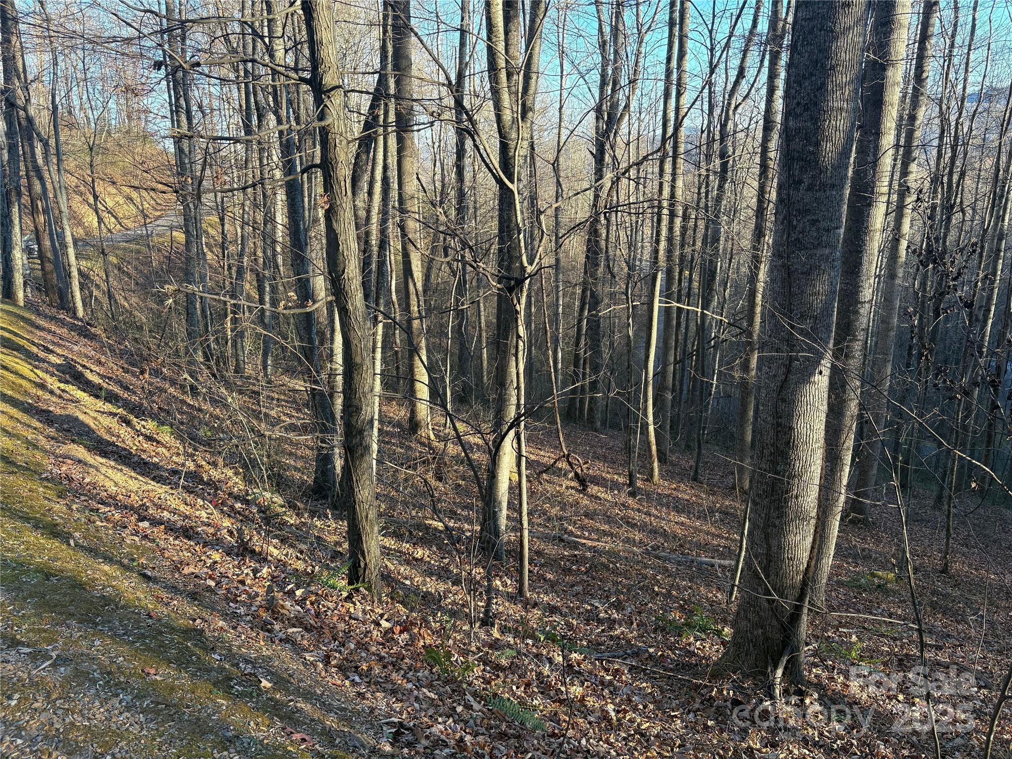 Mountain Watch - Land
