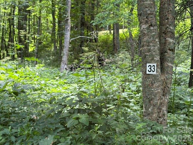 Is there a buildable mountain lot in the Maggie Valley/Waynesville area with gated access, paved roads, underground utilities, and access to year-round recreation? This lot in Smoky Mountain Retreat at Eagles Nest offers a rare opportunity to create a full-time residence, vacation retreat, or investment-minded mountain home in one of the area’s established gated communities. The property is located within the highly sought-after Smoky Mountain Retreat at Eagles Nest, a 1,000-acre gated log home community known for its natural beauty, abundant wildlife, paved roads, and elevated mountain setting that feels tucked inside a national park.

Discover the opportunity to build in Smoky Mountain Retreat at Eagles Nest, a sought-after gated mountain community in Maggie Valley, North Carolina, known for its natural beauty, well-maintained paved roads, underground utilities, and impressive elevations above 4,000 feet. Surrounded by the peaceful scenery of the Smoky Mountains, this community delivers the quiet retreat feel buyers want while keeping everyday conveniences and regional attractions within easy reach.

Located in the mountains of Maggie Valley, this homesite offers convenient access to Waynesville, Cherokee, Asheville, the Blue Ridge Parkway, Great Smoky Mountains National Park, Cataloochee Ski Area, local dining, shopping, hiking, fishing, and four-season mountain recreation. Community amenities include hiking trails and a playground, creating a setting that blends mountain privacy, outdoor enjoyment, and practical convenience.

This particular lot offers a short view potential, giving future owners the flexibility to plan a mountain property that fits their lifestyle and goals. Whether you are dreaming of a private primary residence, a weekend getaway near outdoor adventure, or a mountain home with long-term investment potential, this Maggie Valley mountain lot provides a chance to secure your place in one of Western North Carolina’s desirable high-elevation communities.

For buyers searching for land in the Maggie Valley/Waynesville area. This unique community offers two gates one closer to Maggie Valley the other closer to Waynesville. If your looking for Smoky Mountain community, or a homesite near Waynesville and the Blue Ridge Parkway, this property offers location, setting, and mountain lifestyle potential in one compelling opportunity.