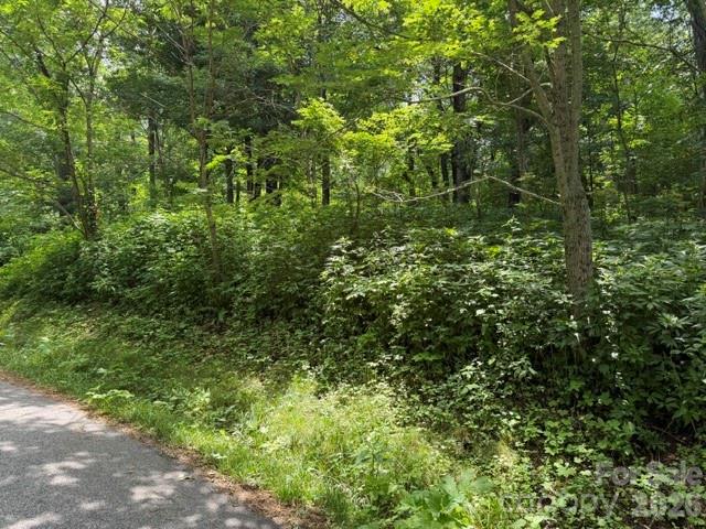 Smoky Mountain Retreat at Eagles Nest - Land