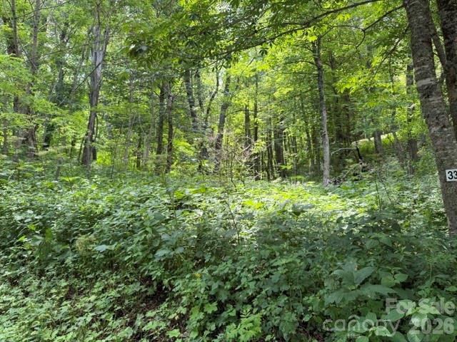 Smoky Mountain Retreat at Eagles Nest - Land
