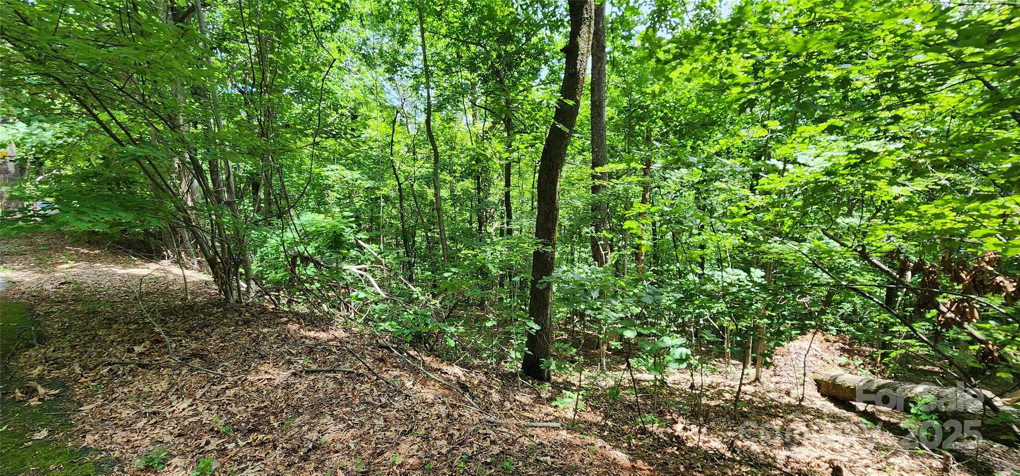White Oak Mountain - Land